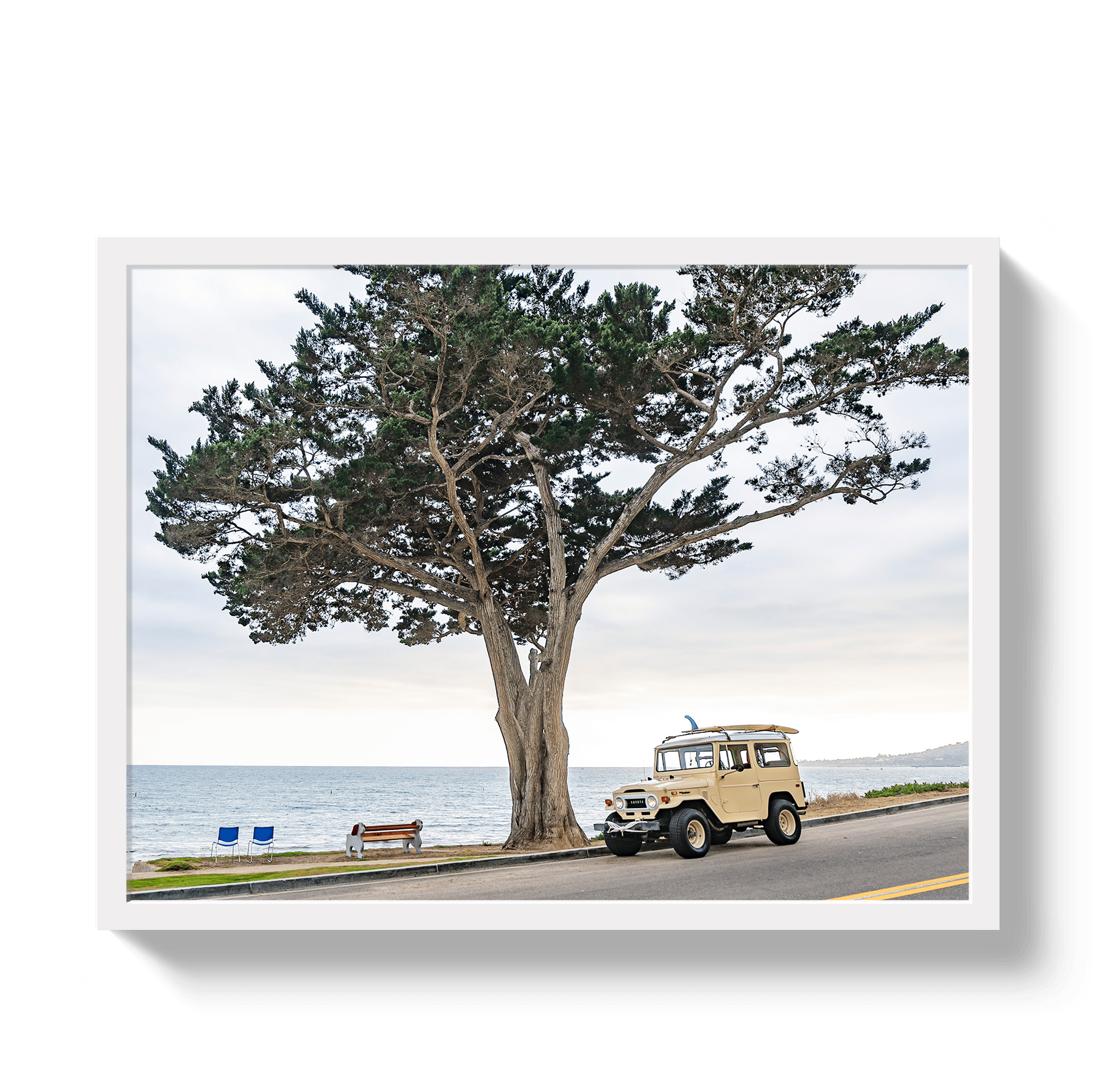 Johnny Vacay White / 11x14 / Full Bleed Central Coast FJ