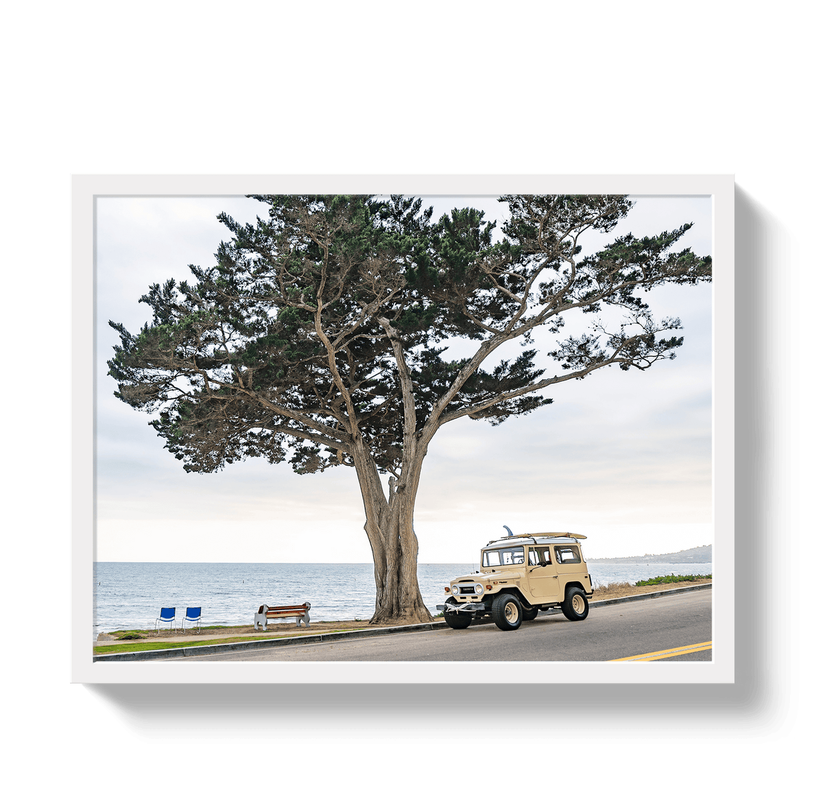 Johnny Vacay White / 11x14 / Full Bleed Central Coast FJ