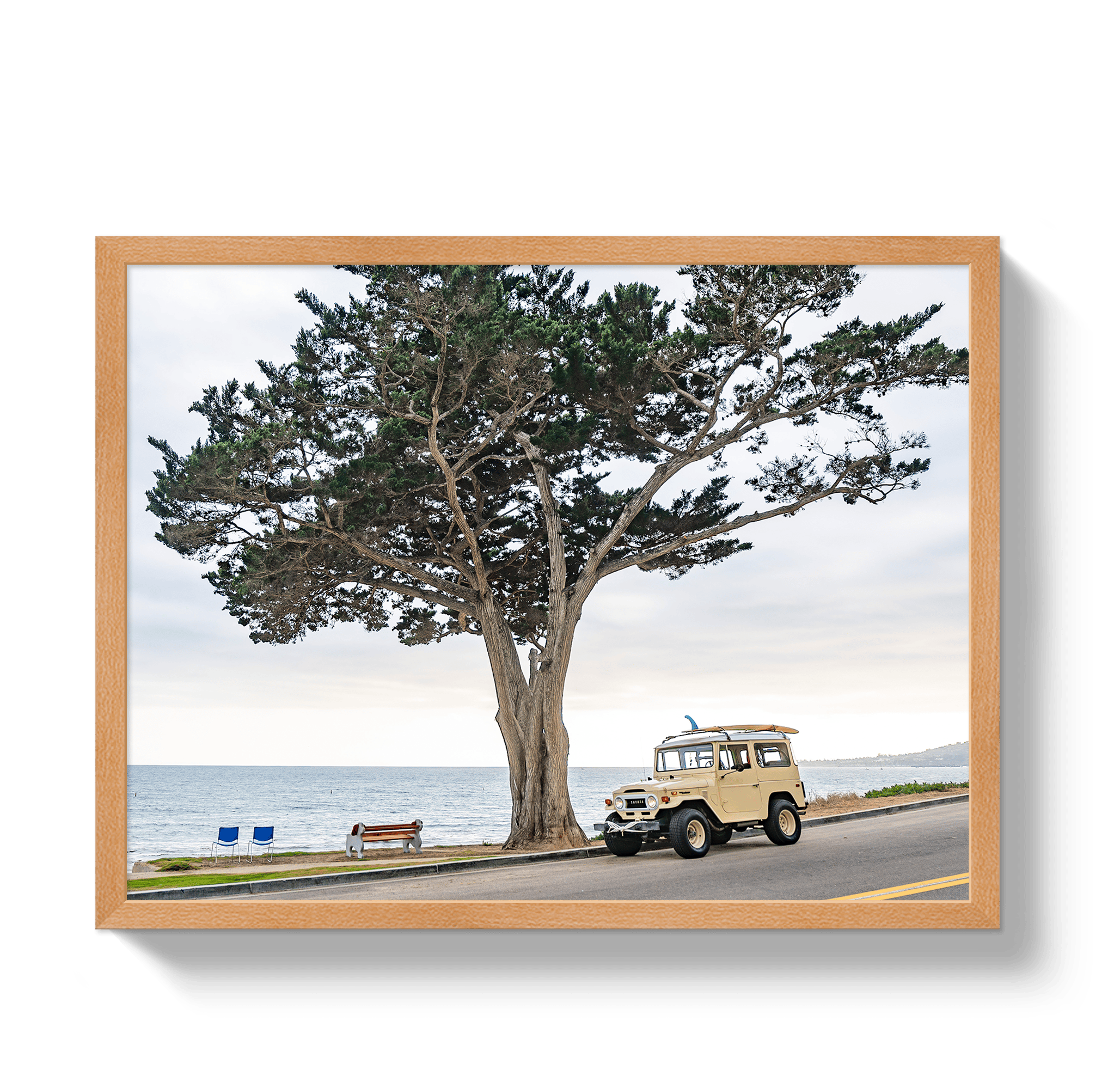 Johnny Vacay Oak / 11x14 / Full Bleed Central Coast FJ