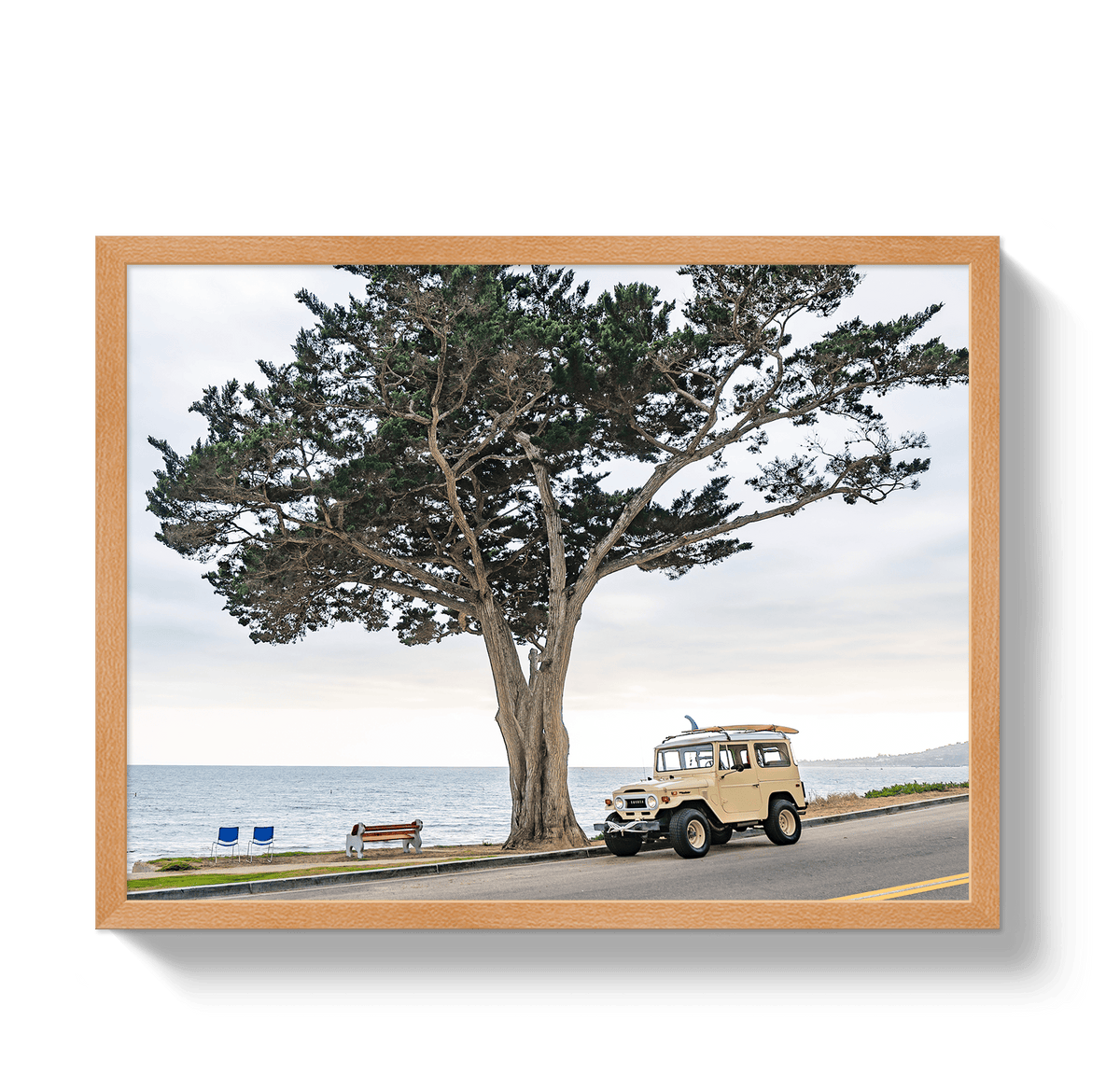 Johnny Vacay Oak / 11x14 / Full Bleed Central Coast FJ