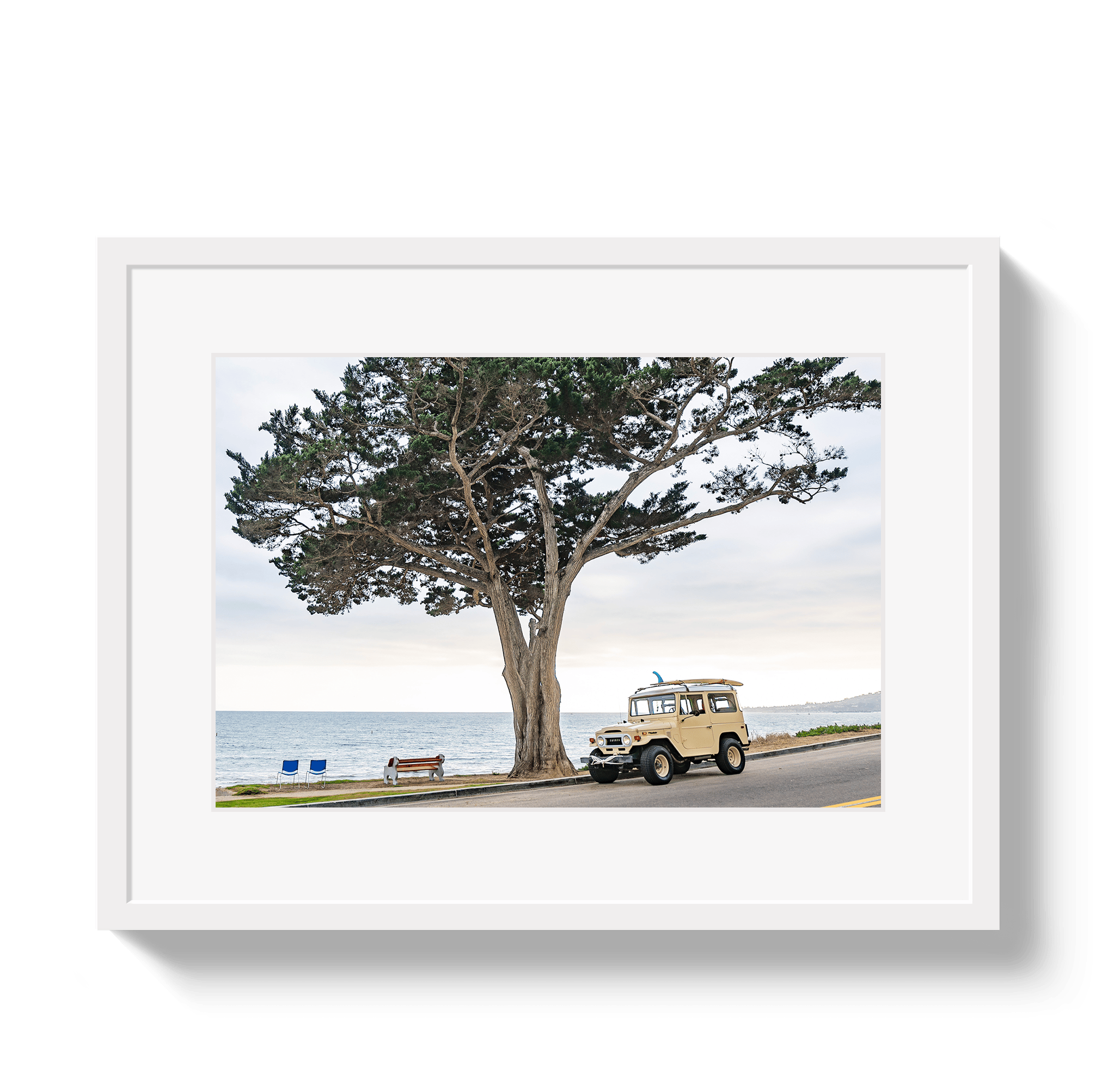 Johnny Vacay White / 11x14 / Matte Central Coast FJ