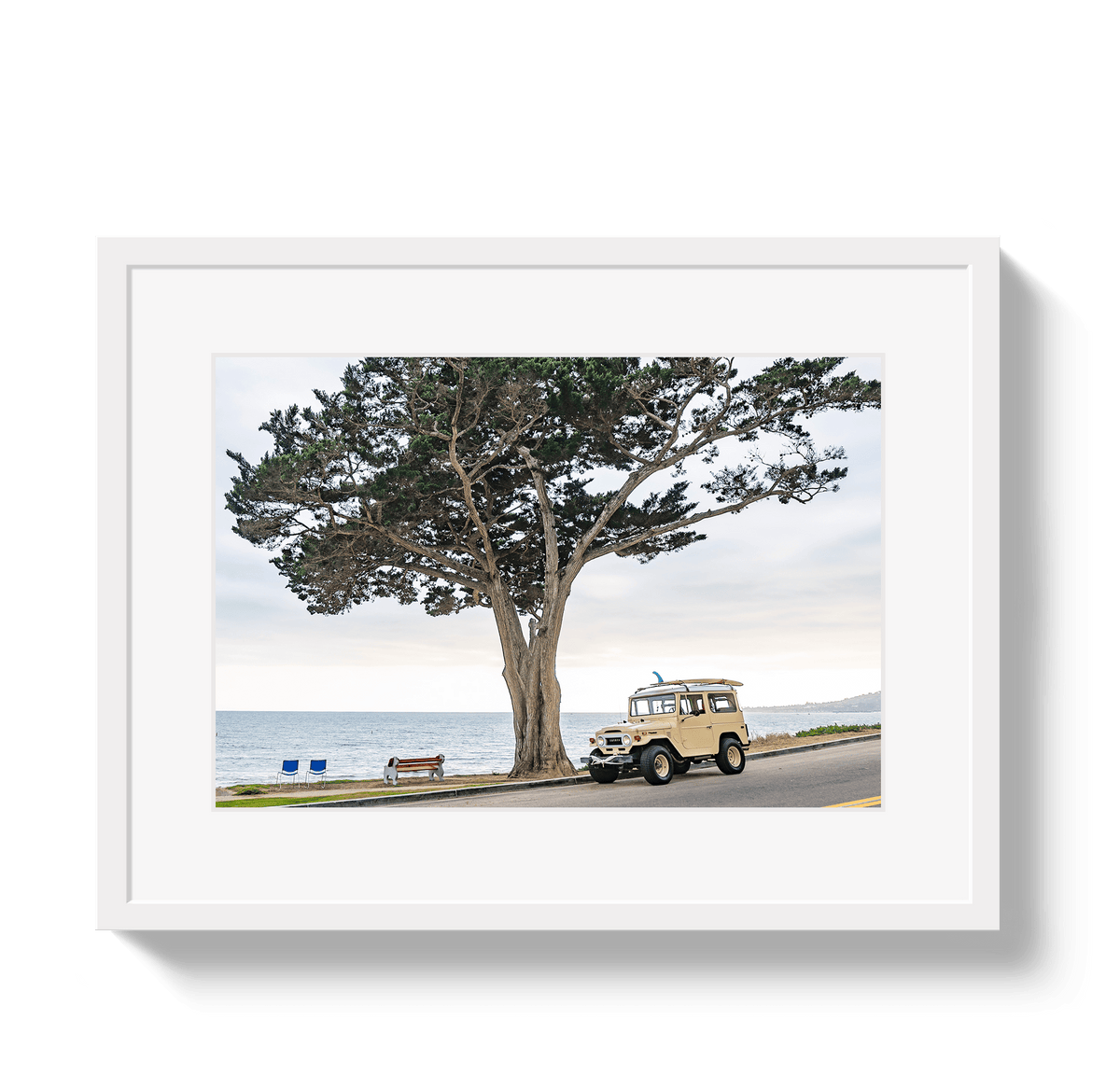 Johnny Vacay White / 11x14 / Border Central Coast FJ