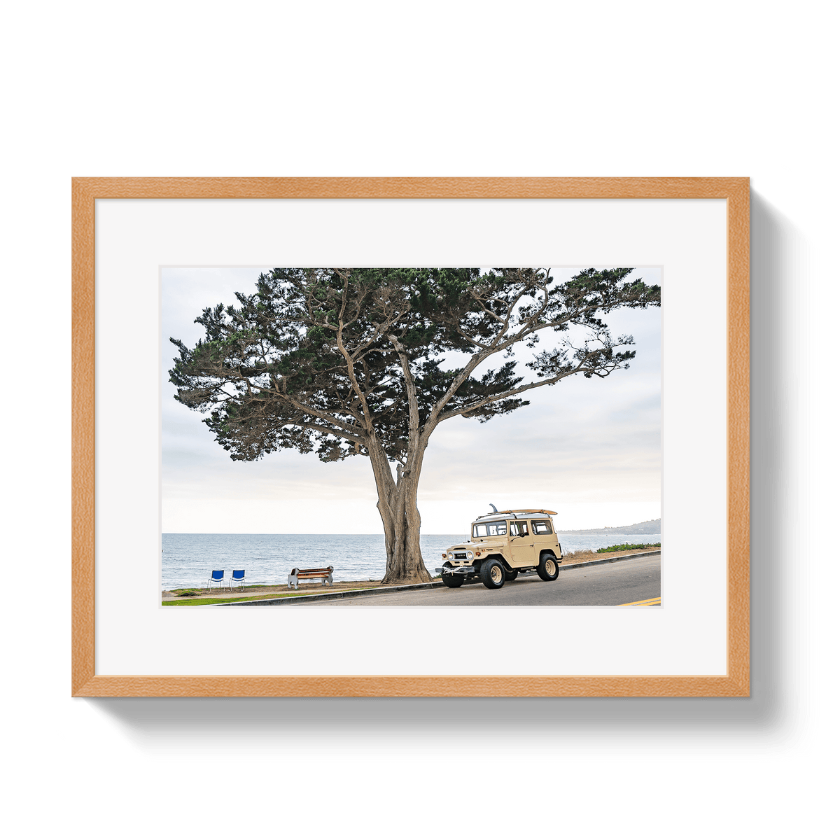 Johnny Vacay Oak / 11x14 / Border Central Coast FJ