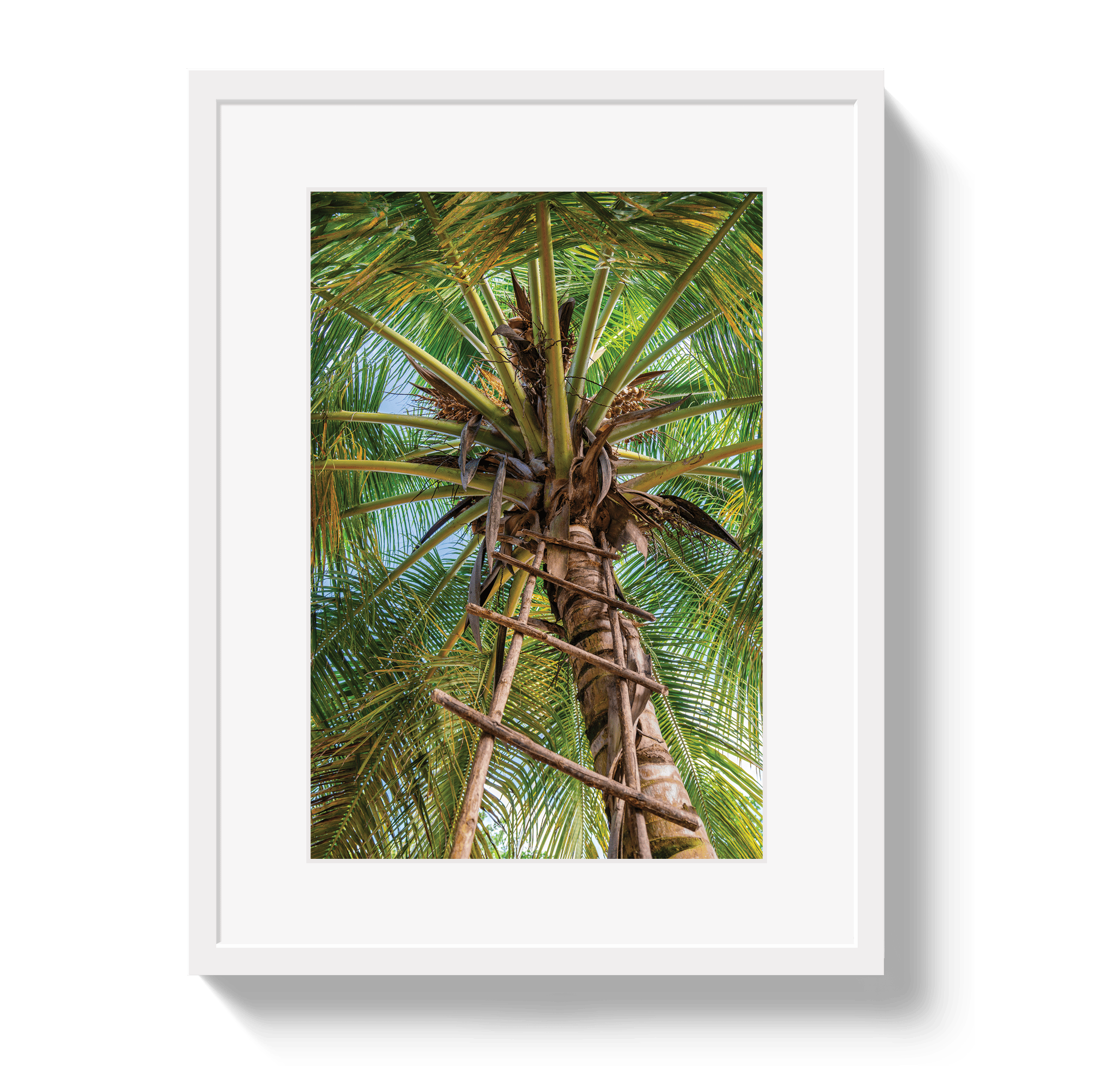 Johnny Vacay White / 11x14 / Matte Corporate Ladder