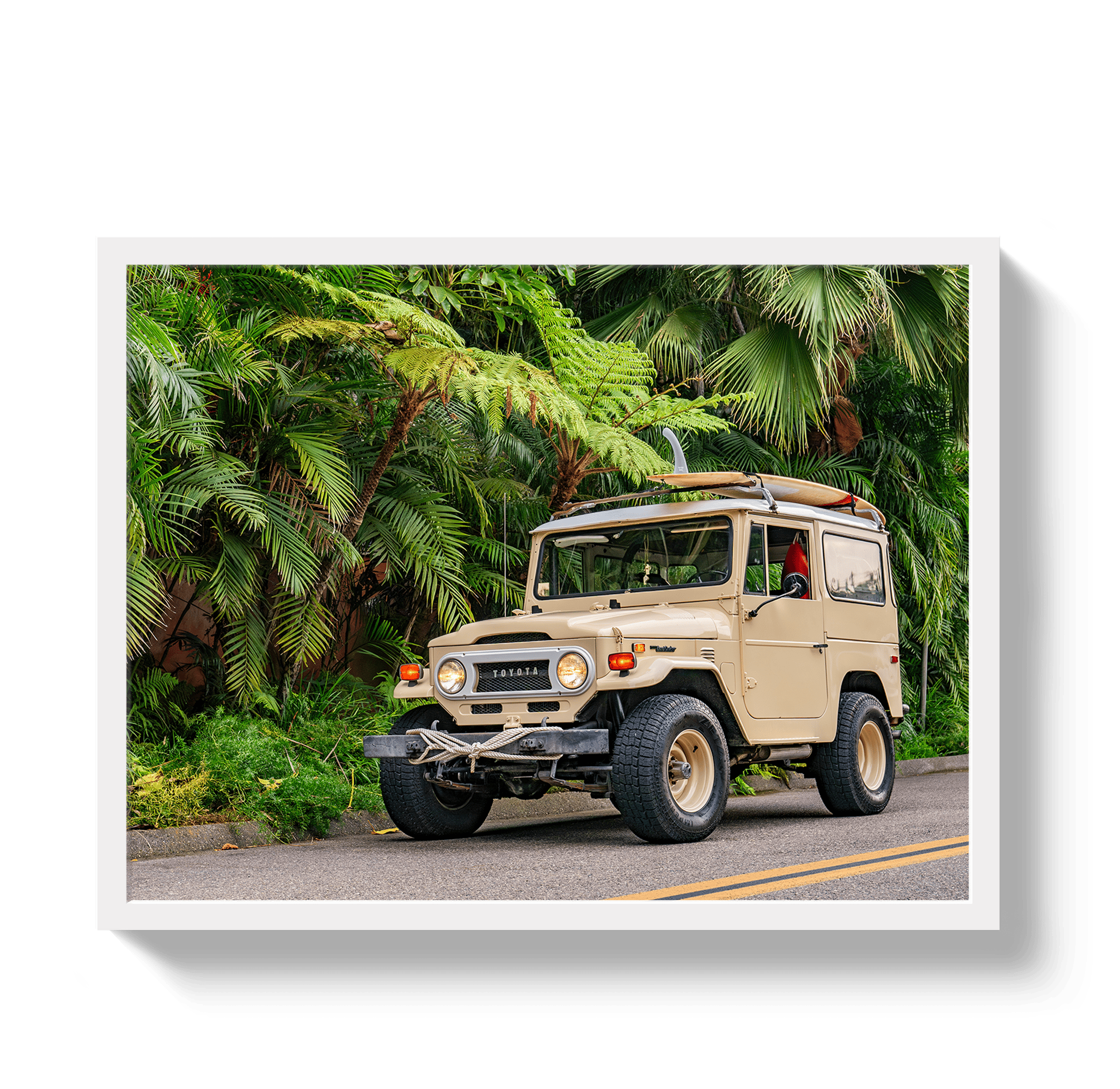 Johnny Vacay White / 11x14 / Full Bleed Tropical FJ