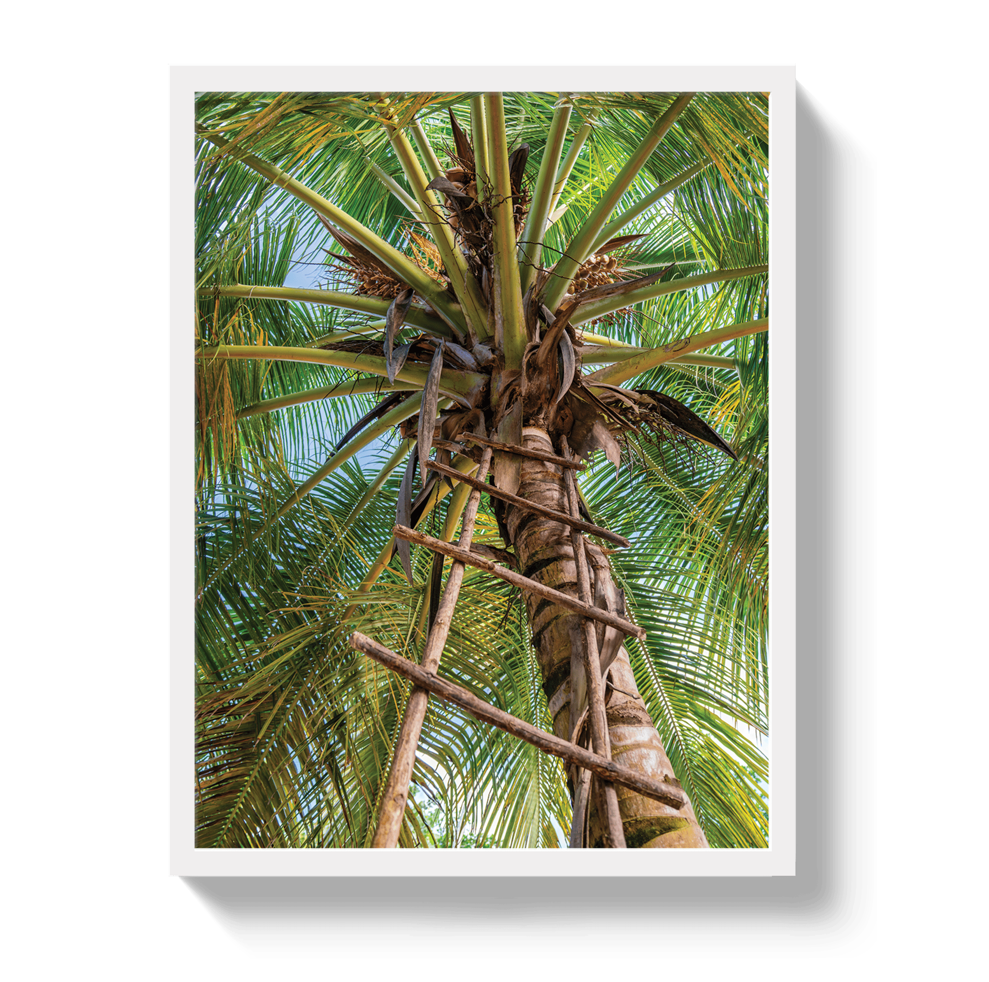 Johnny Vacay White / 11x14 / Full Bleed Corporate Ladder