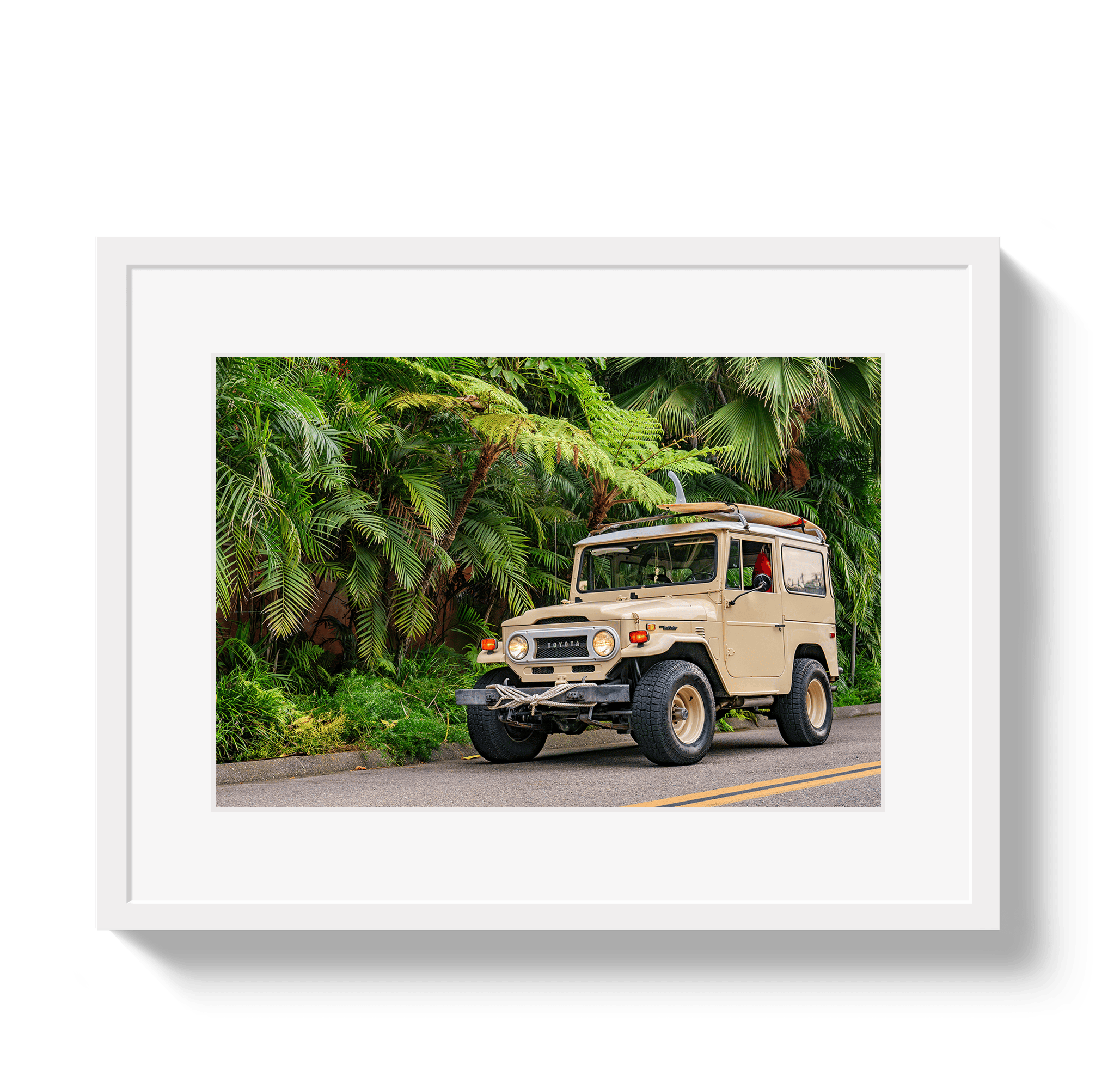 Johnny Vacay White / 11x14 / Matte Tropical FJ