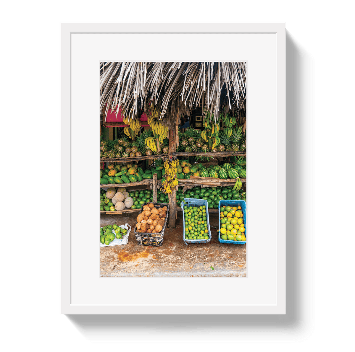 Johnny Vacay White / 11x14 / Border Fruit Stand