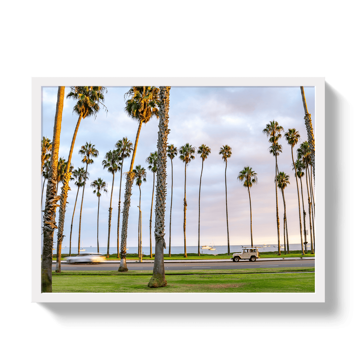 Johnny Vacay White / 11x14 / Full Bleed Santa Barbara FJ