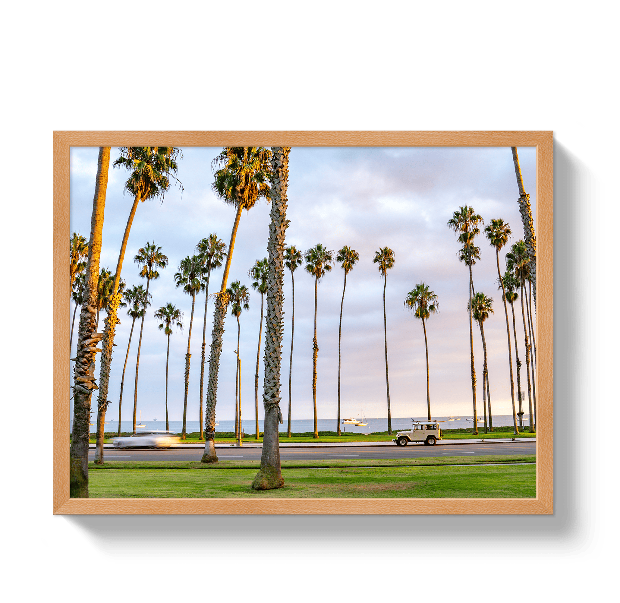 Johnny Vacay Oak / 11x14 / Full Bleed Santa Barbara FJ