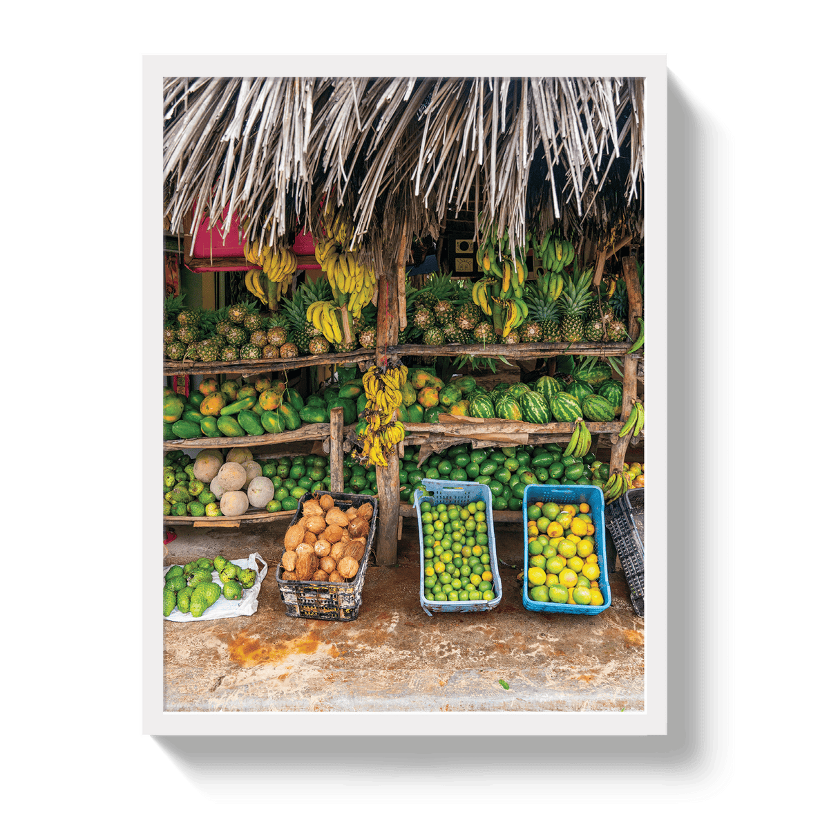 Johnny Vacay White / 11x14 / Full Bleed Fruit Stand