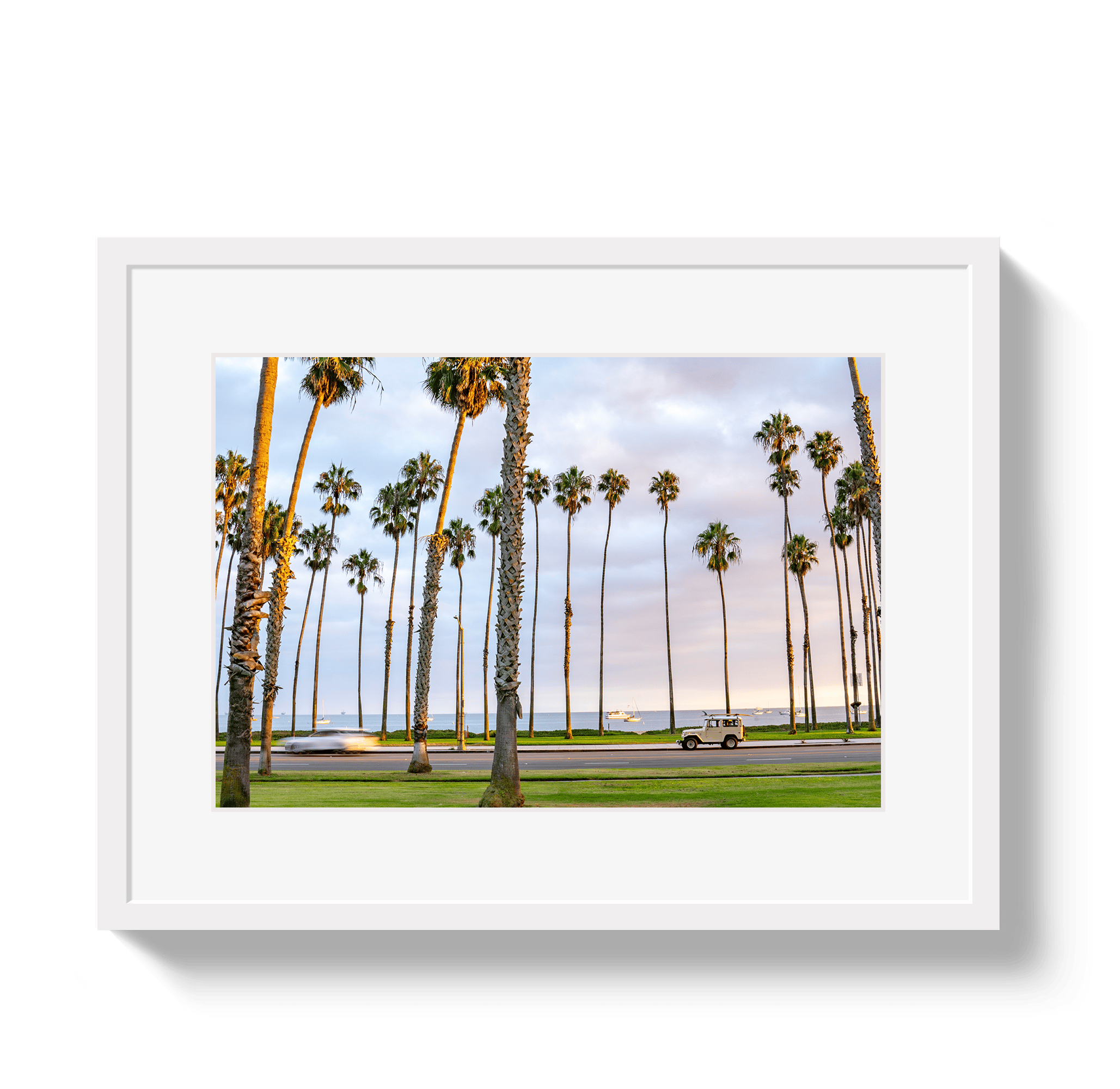 Johnny Vacay White / 11x14 / Matte Santa Barbara FJ