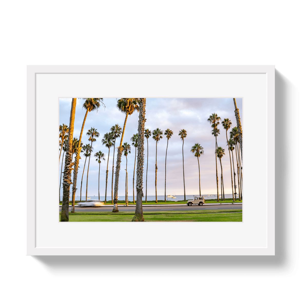 Johnny Vacay White / 11x14 / Border Santa Barbara FJ