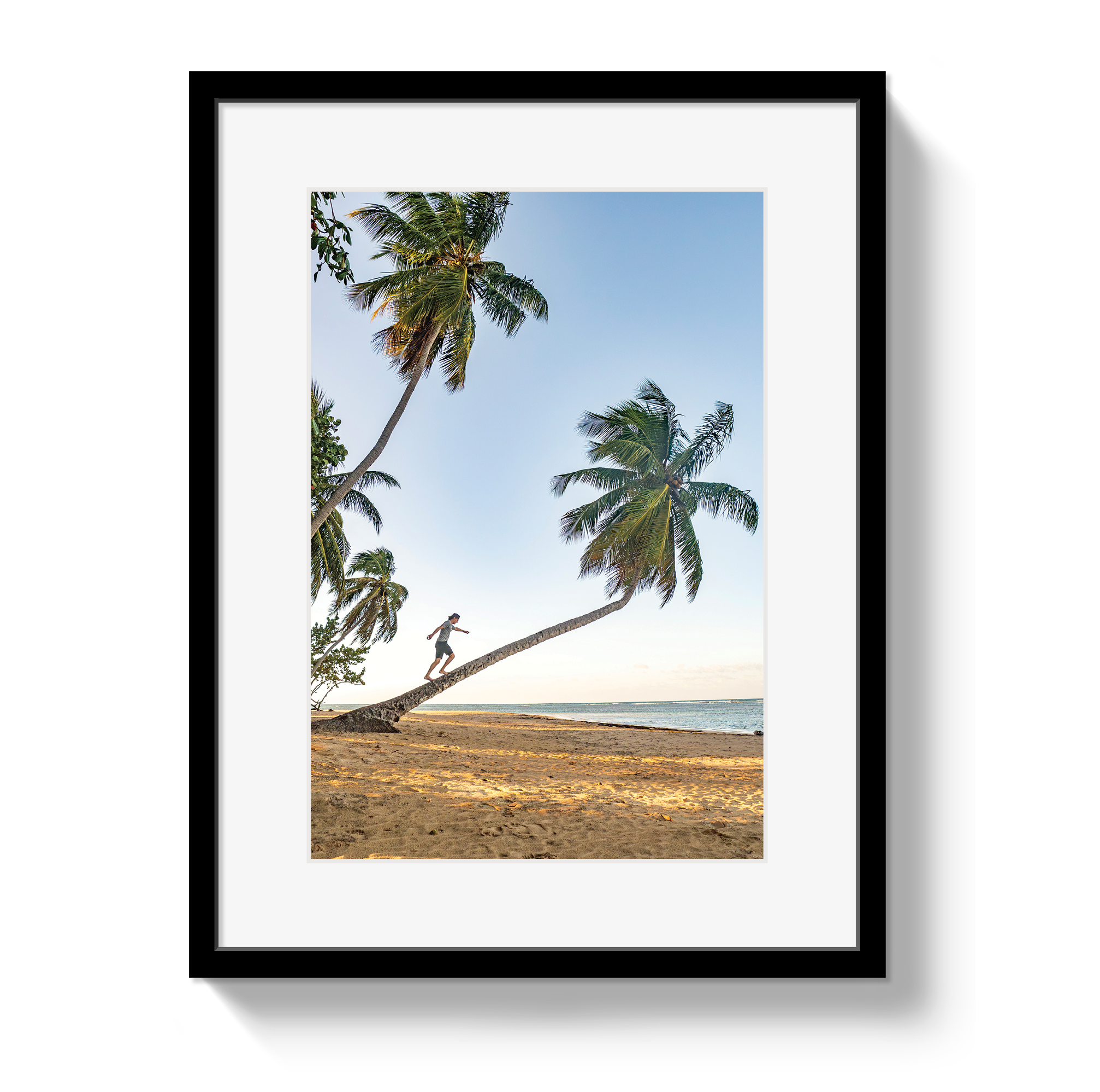 Framed artwork of a person climbing a palm tree on a beach.
