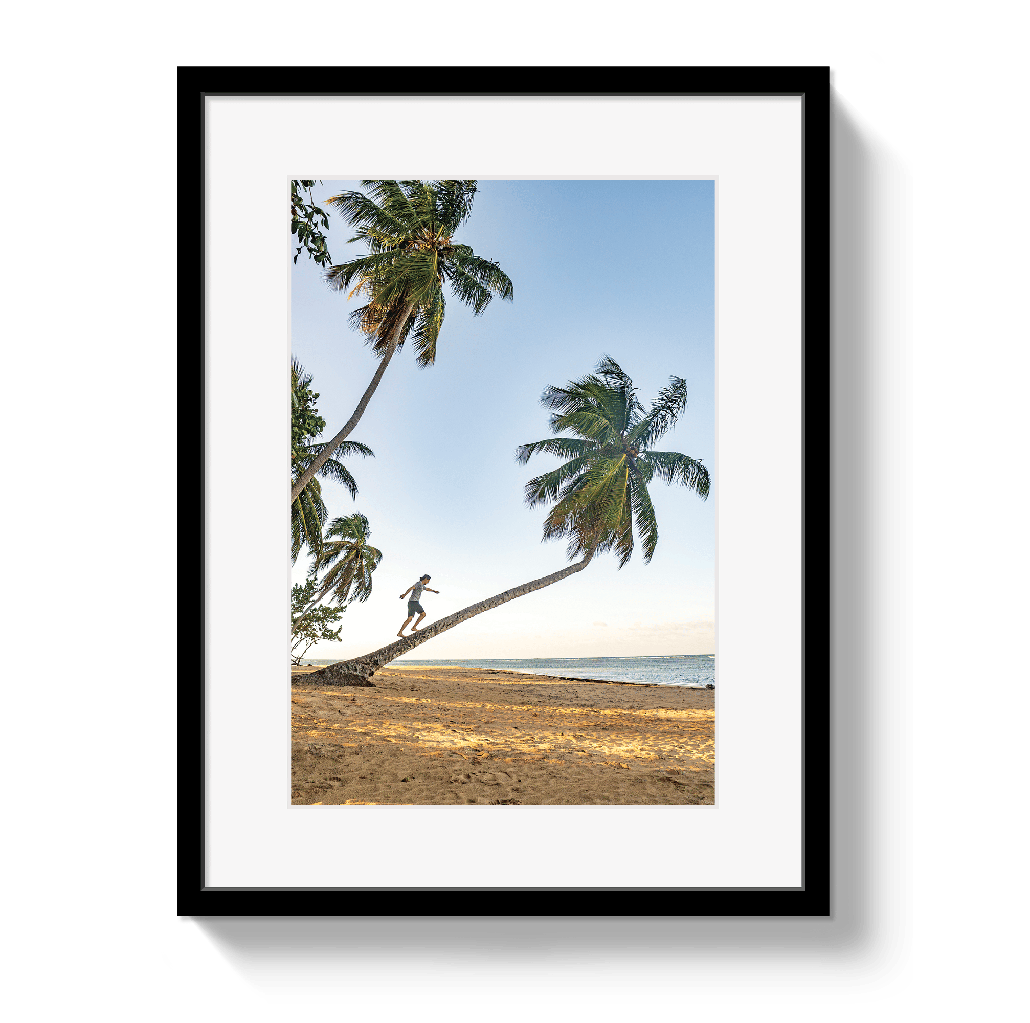 Framed artwork of a person climbing a palm tree on a beach.