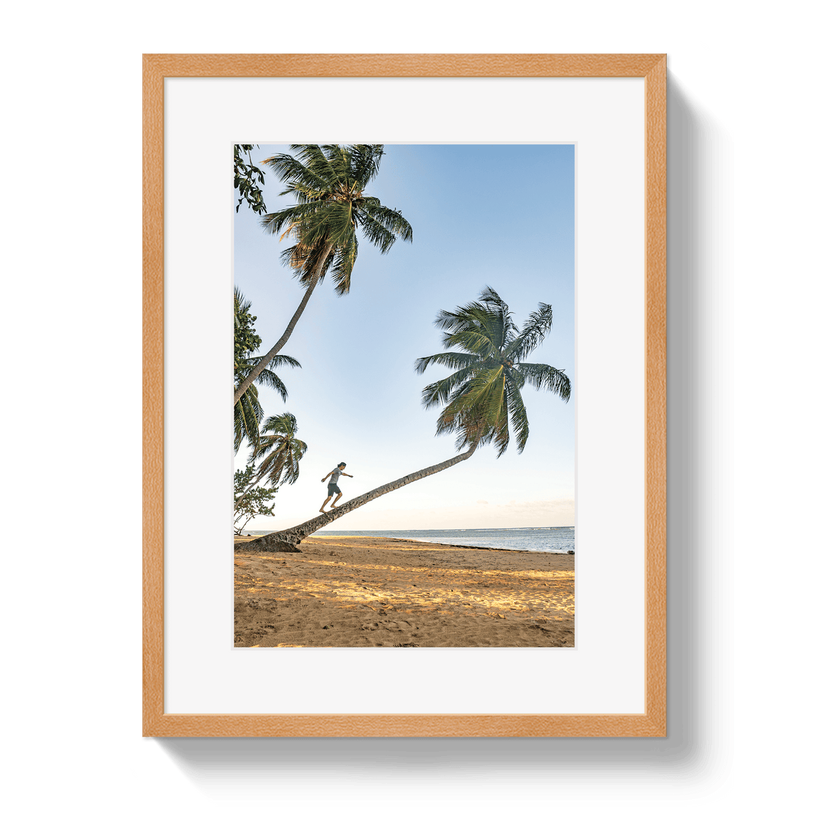 Johnny Vacay Oak / 11x14 / Border Palm Walk