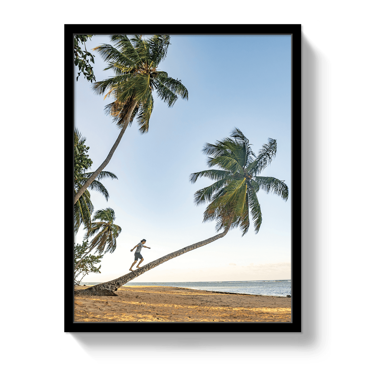 Johnny Vacay Black / 11x14 / Full Bleed Palm Walk