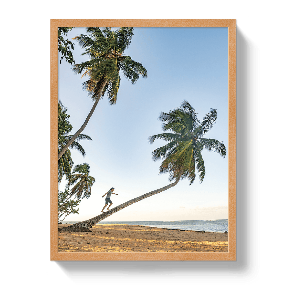Johnny Vacay Oak / 11x14 / Full Bleed Palm Walk