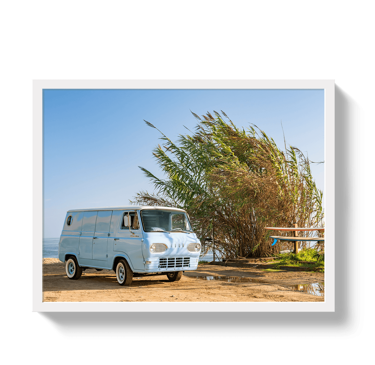 Johnny Vacay White / 11x14 / Full Bleed Sano Bus