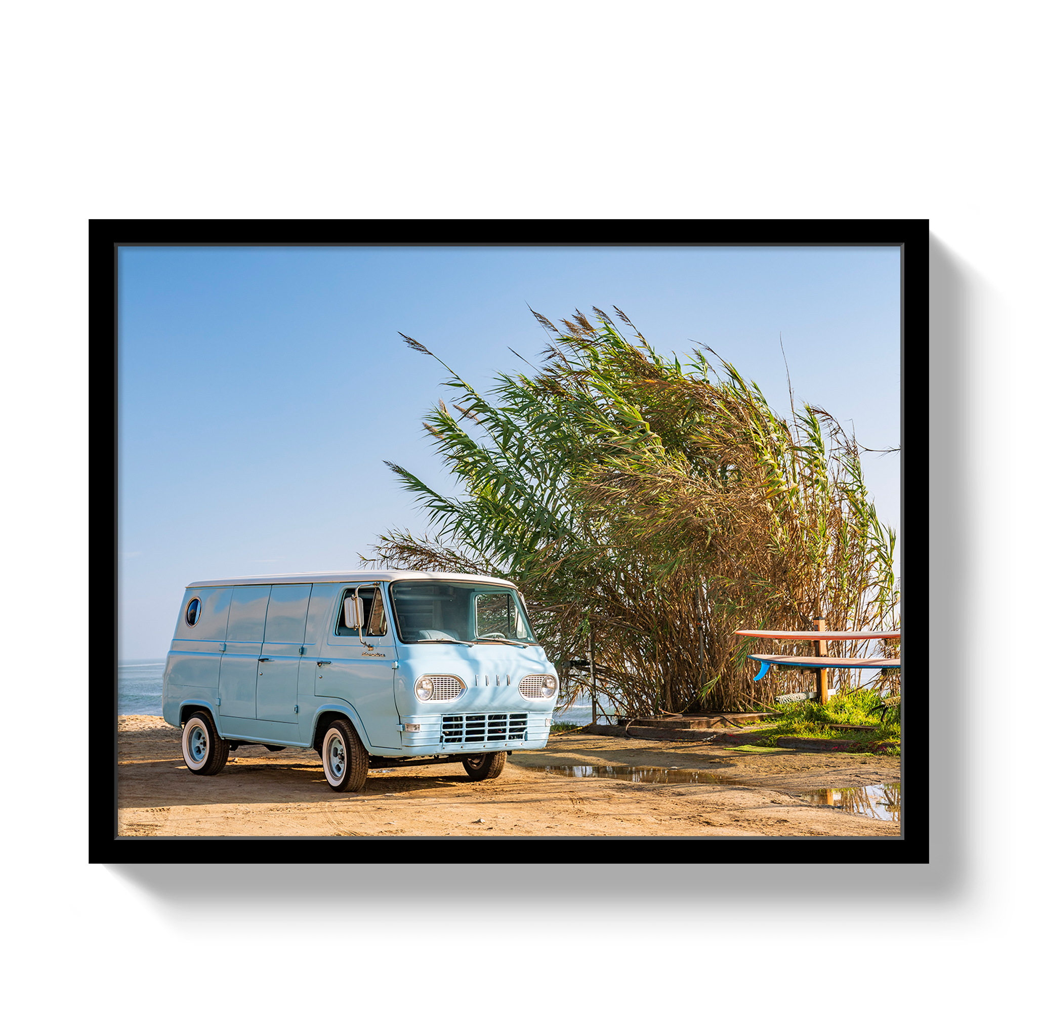 Sano Bus