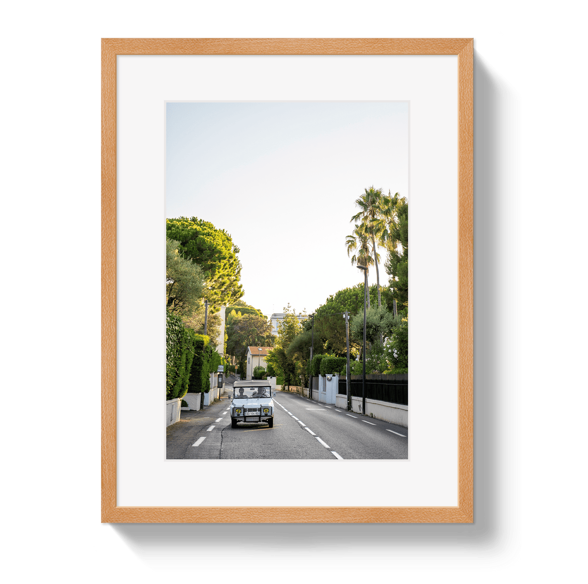 Johnny Vacay Oak / 11x14 / Border Antibes Joy Ride