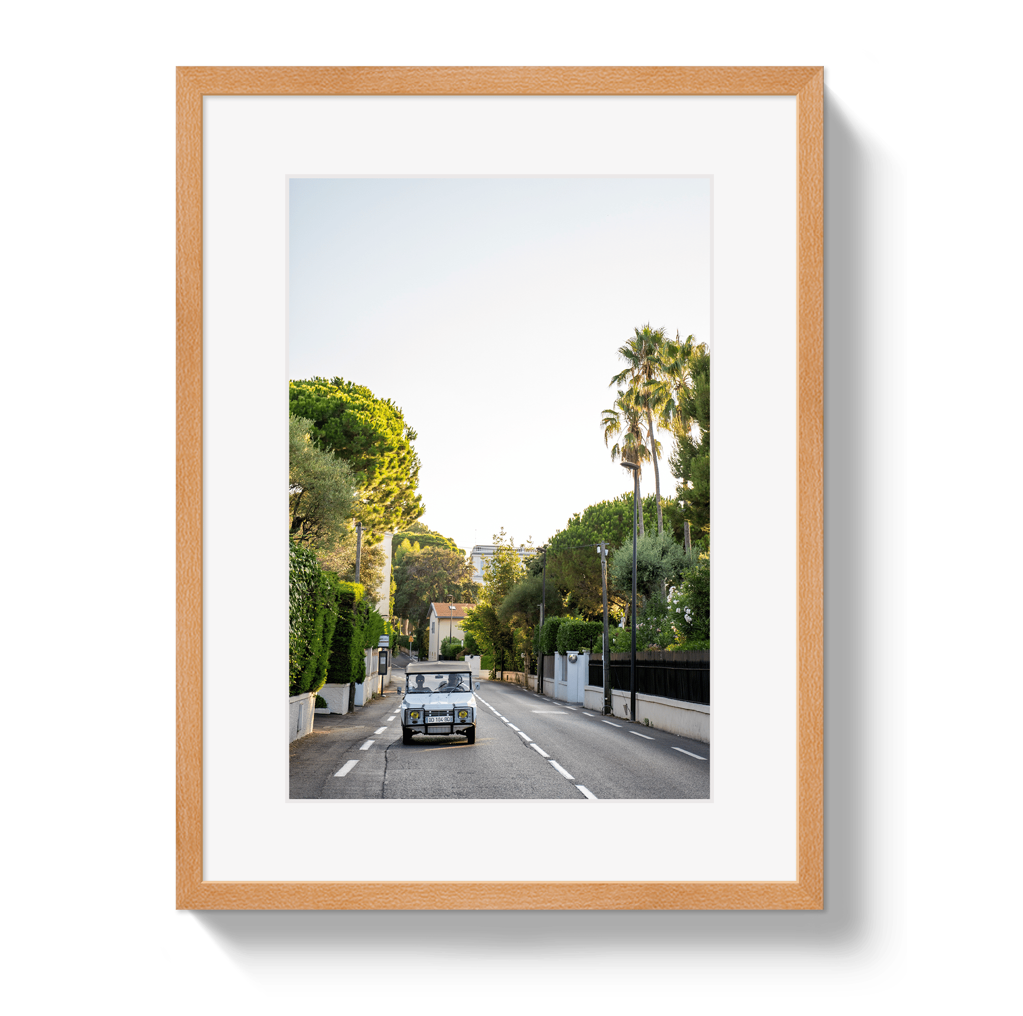 Johnny Vacay Oak / 11x14 / Matte Antibes Joy Ride