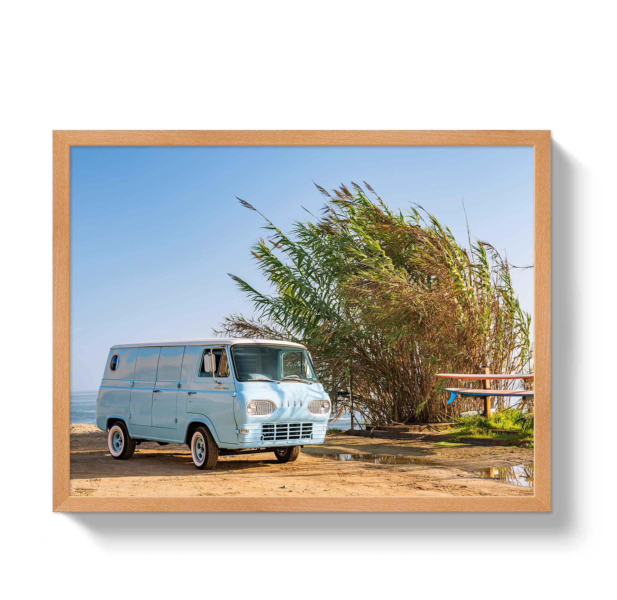 Sano Bus