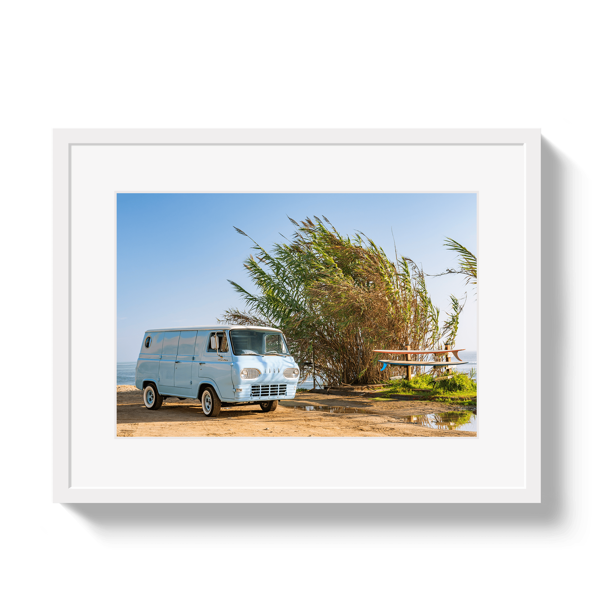Johnny Vacay White / 11x14 / Matte Sano Bus