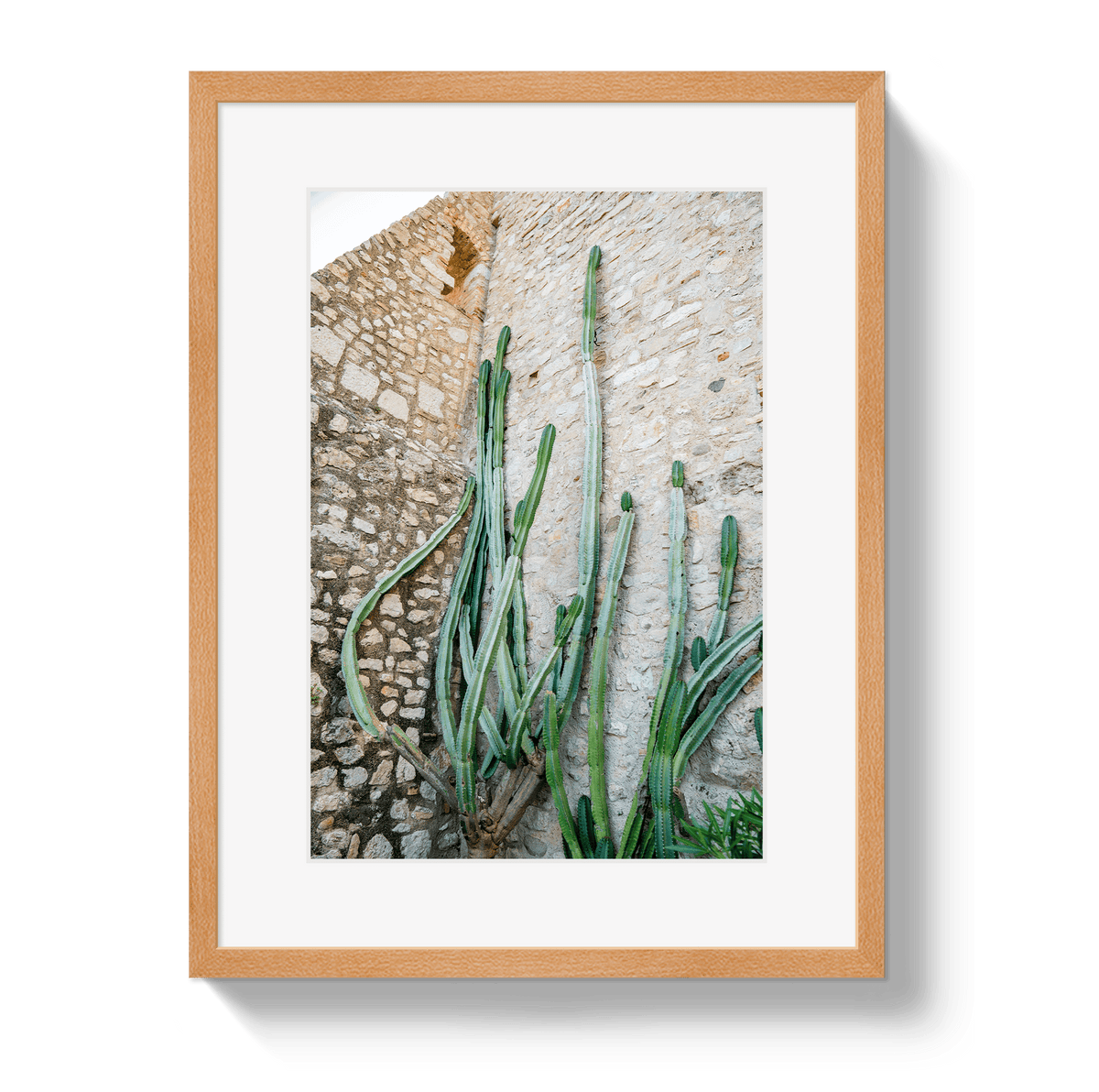 Johnny Vacay Oak / 11x14 / Border Cactus Capri