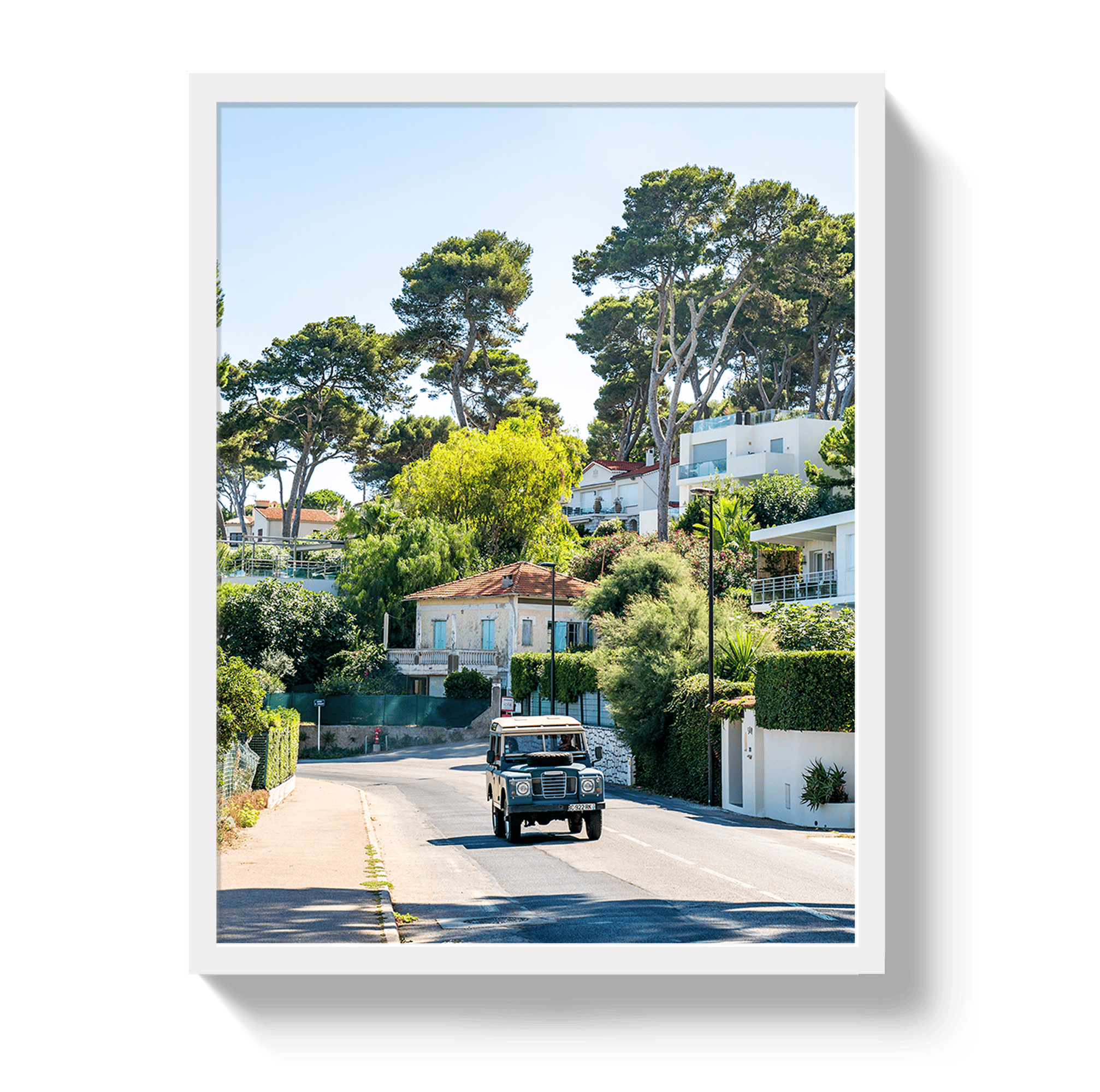 Johnny Vacay White / 11x14 / Full Bleed French Rover