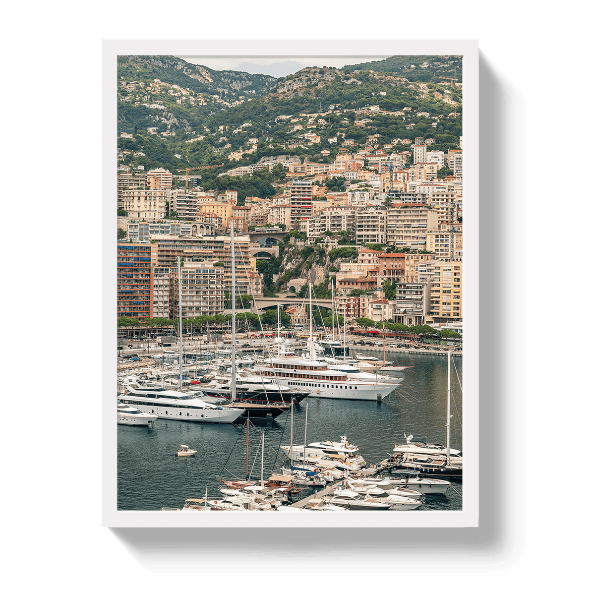 Johnny Vacay White / 11x14 / Full Bleed Monaco