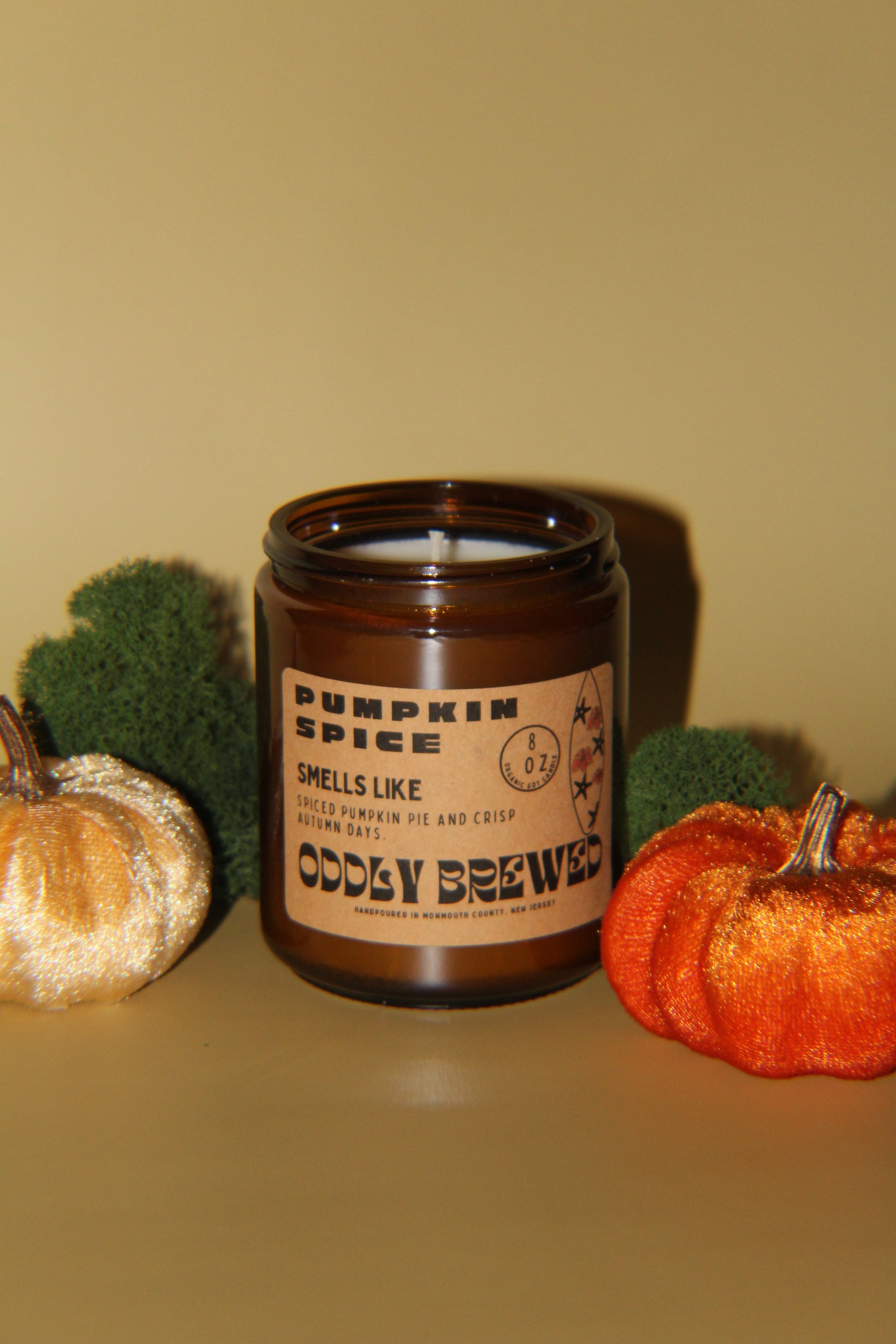 Oddly Brewed Soy candle Pumpkin Spice Soy Candle