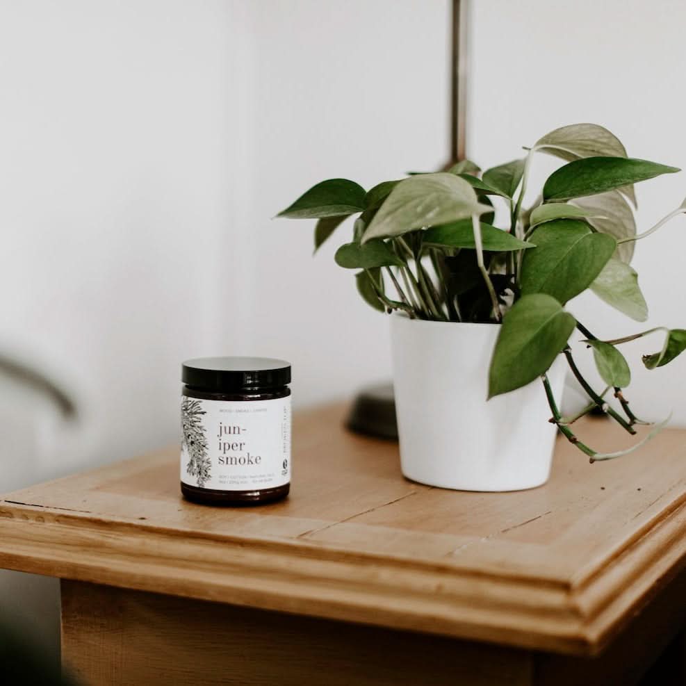Juniper Smoke Soy Candle - My American Goods