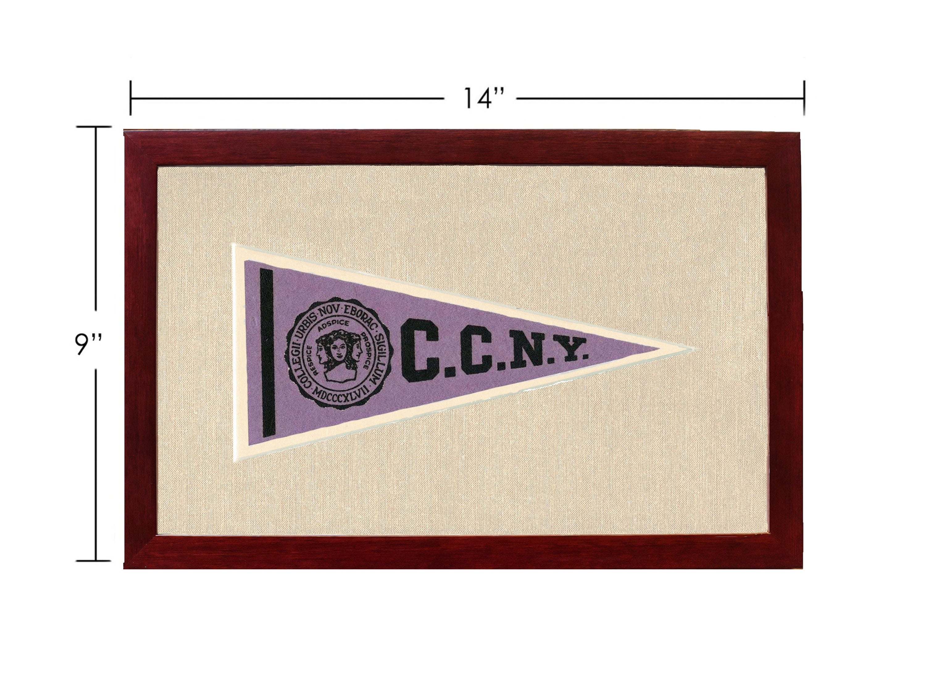 Americana Memories Vintage Pennants and Memorabilia Vintage City College of New York Pennant