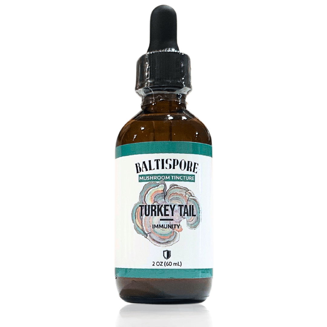 Turkey Tail Mushroom Tincture - My American Goods