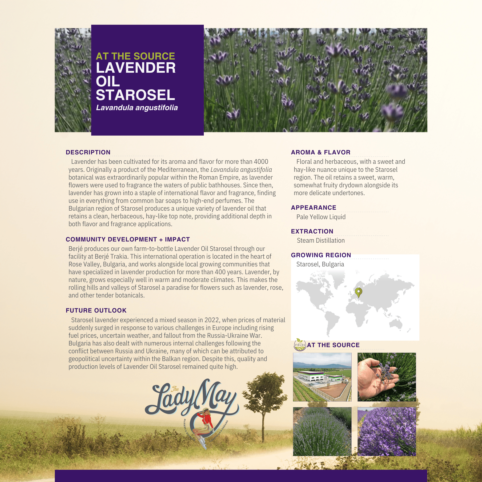 Lavender Tallow "Relax" Premium Quality All Natural Gift Box by The Lady May