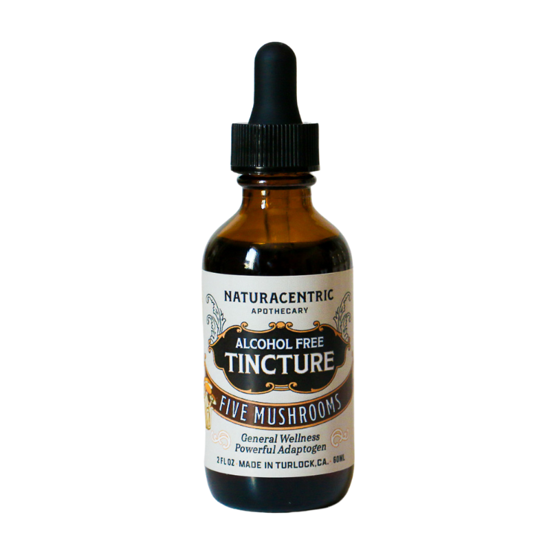 Bottle of Naturacentric Apothecary alcohol-free tincture with a dropper on a white background
