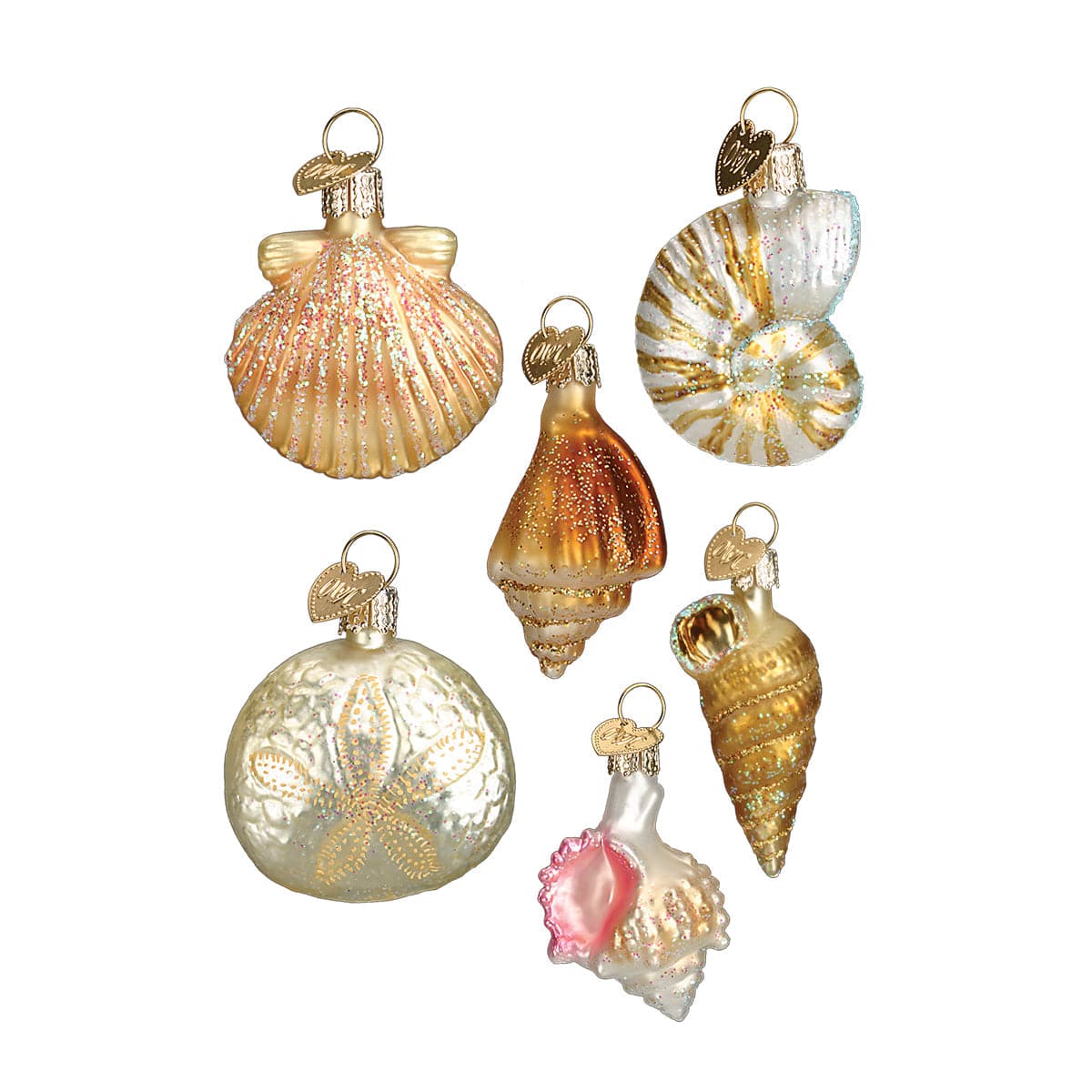 Old World Christmas 2 X 1.5 X 0.5 / 14016 Sea Shell Christmas Ornament Set