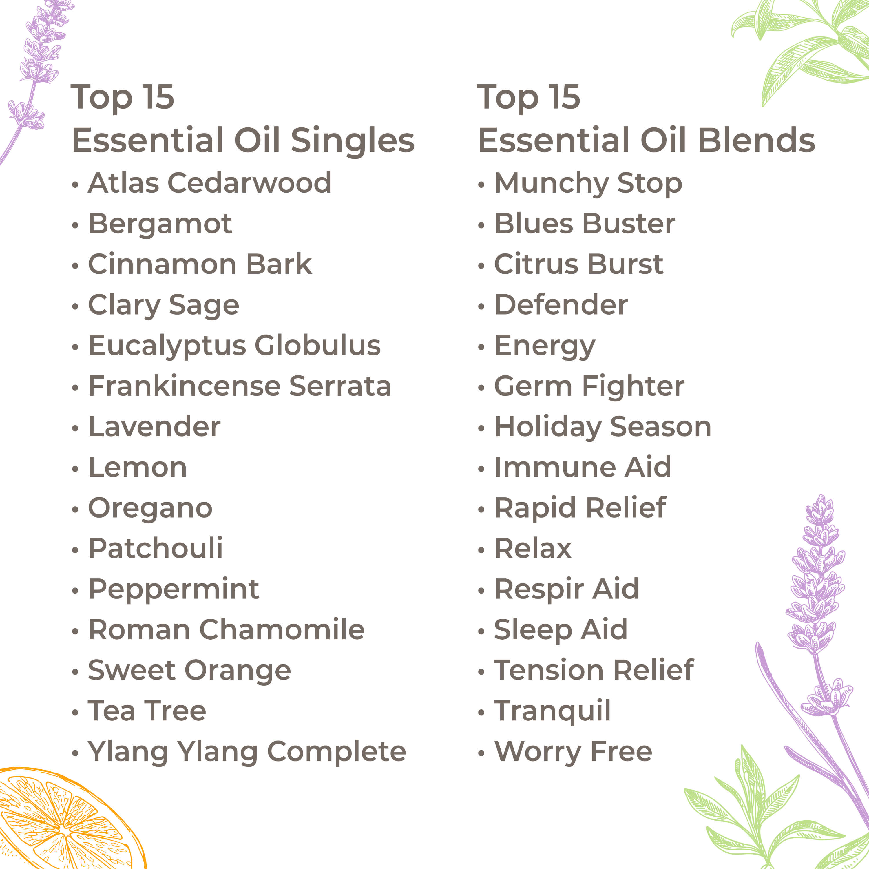 15 & 15 Essential Oil Set with Carrying Case - My American Goods
