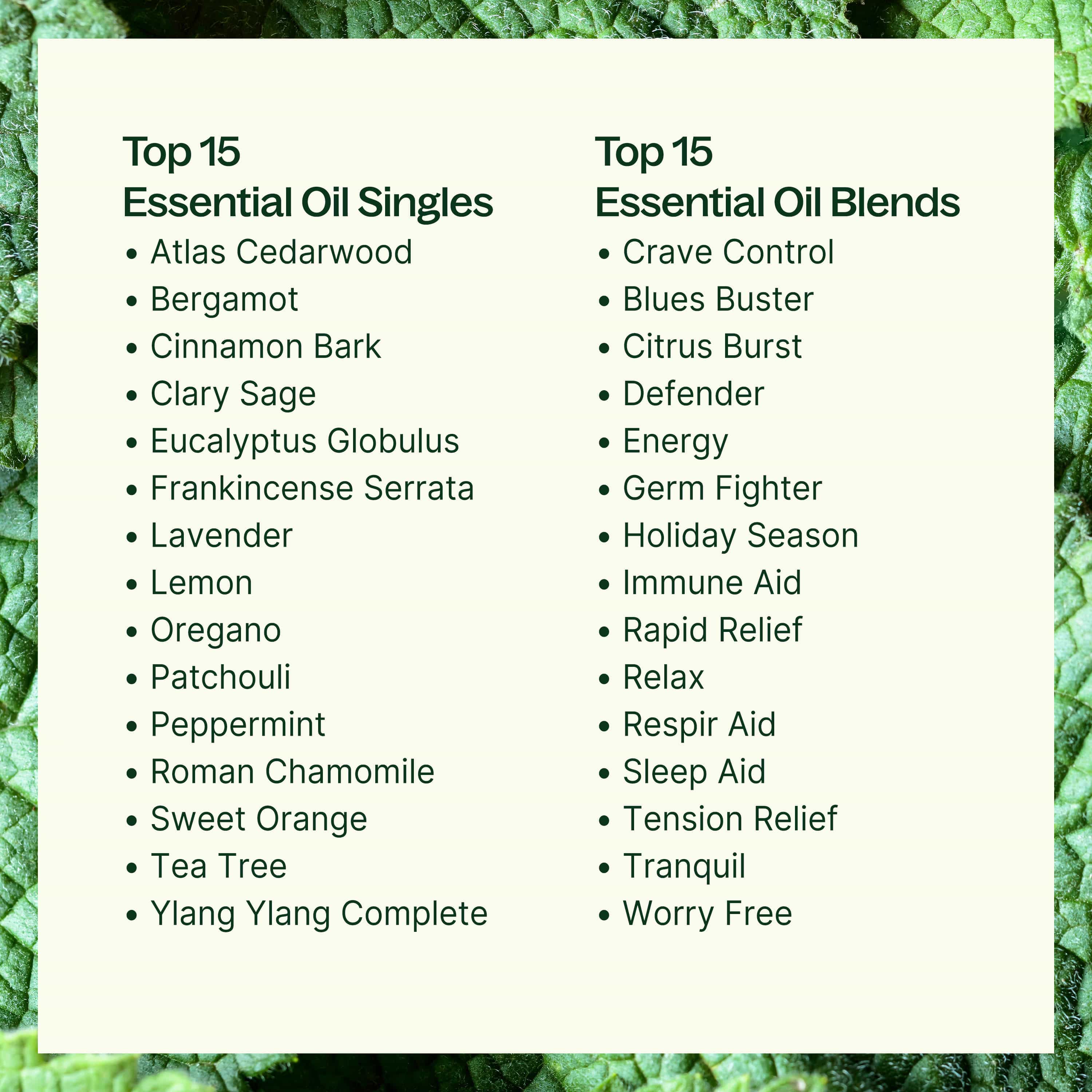 Plant Therapy Essential Oil 15 & 15 Essential Oil Set with Carrying Case