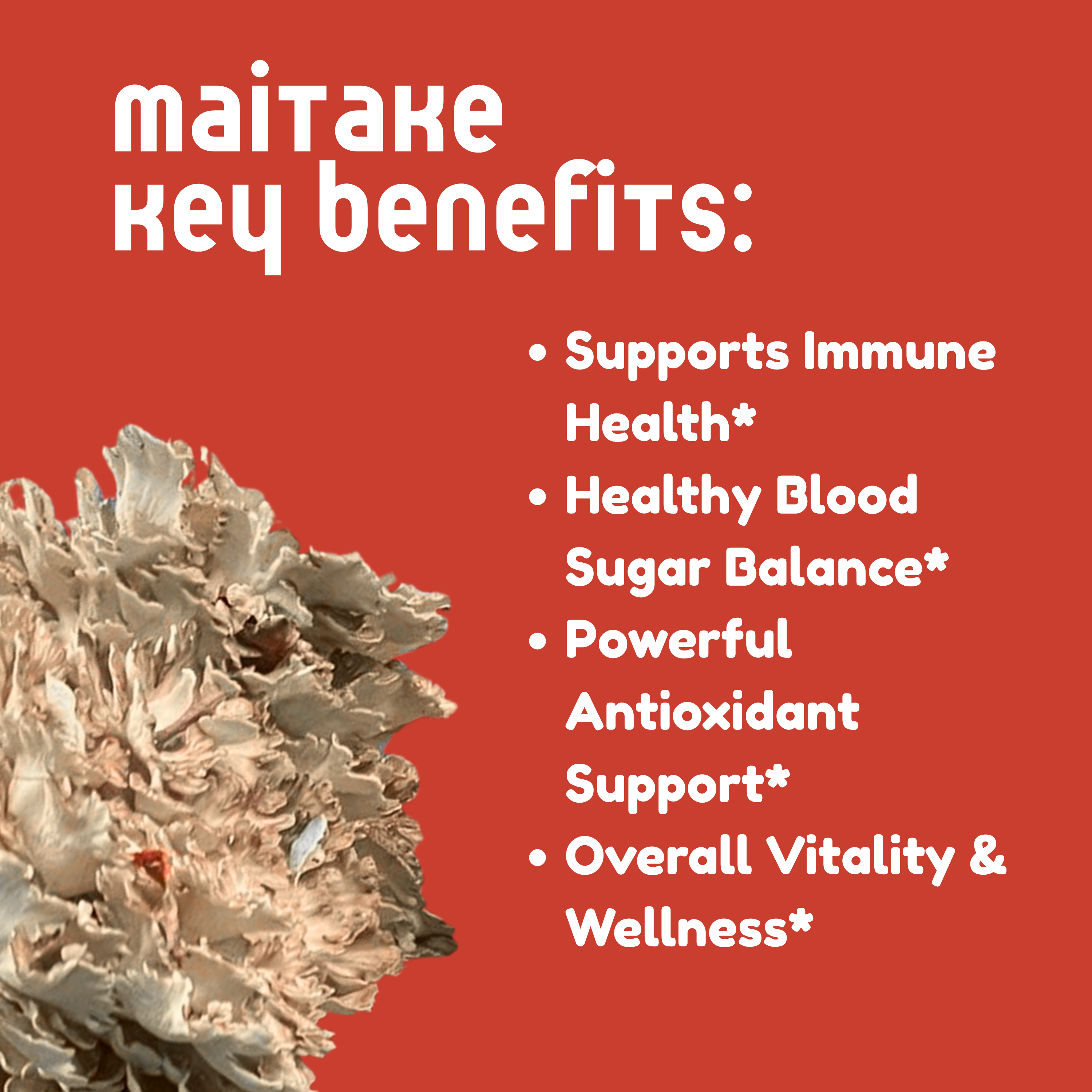 Maitake Mushroom Tincture - My American Goods