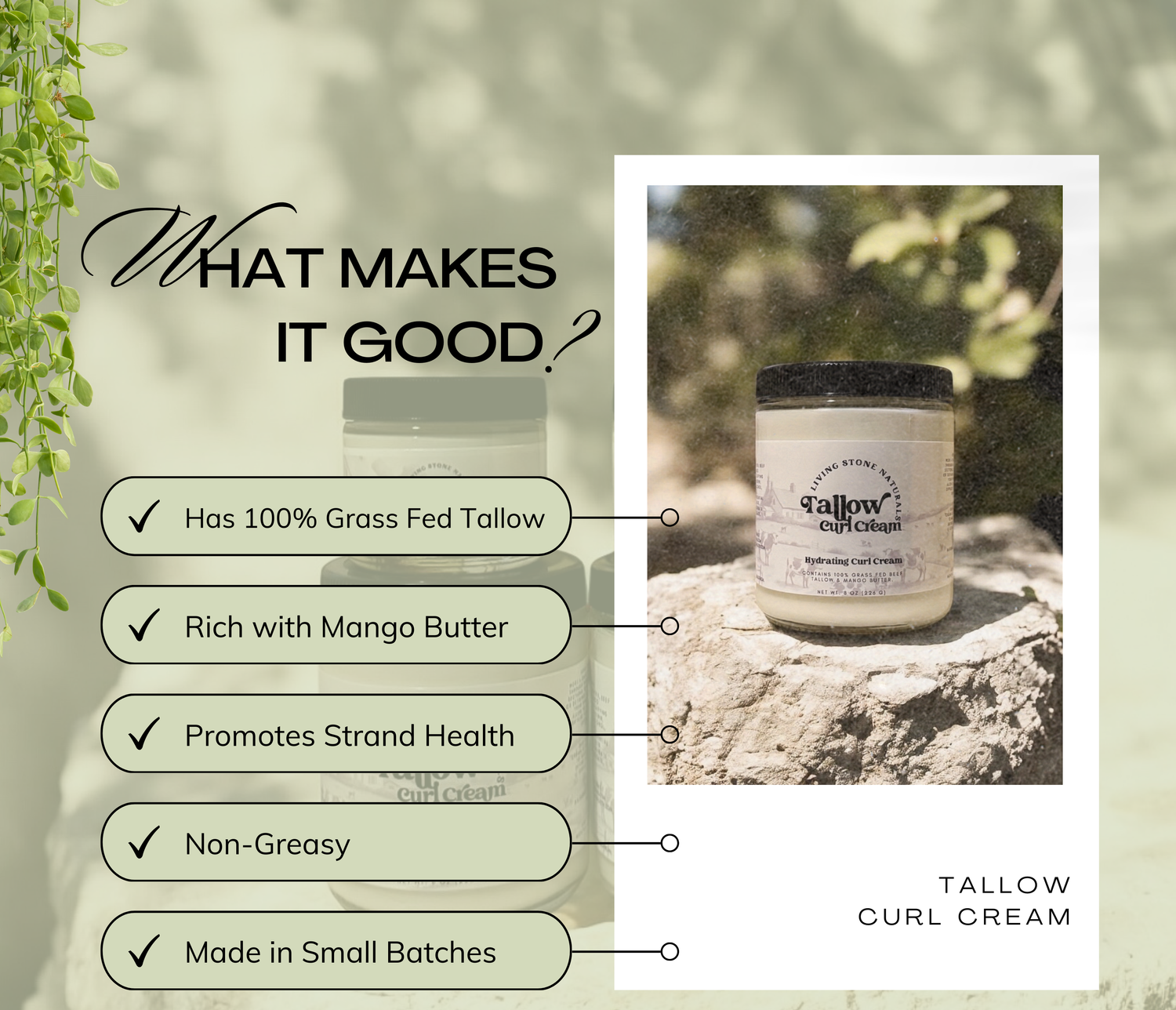 Tallow Curl Cream jar with benefits listed on a natural background