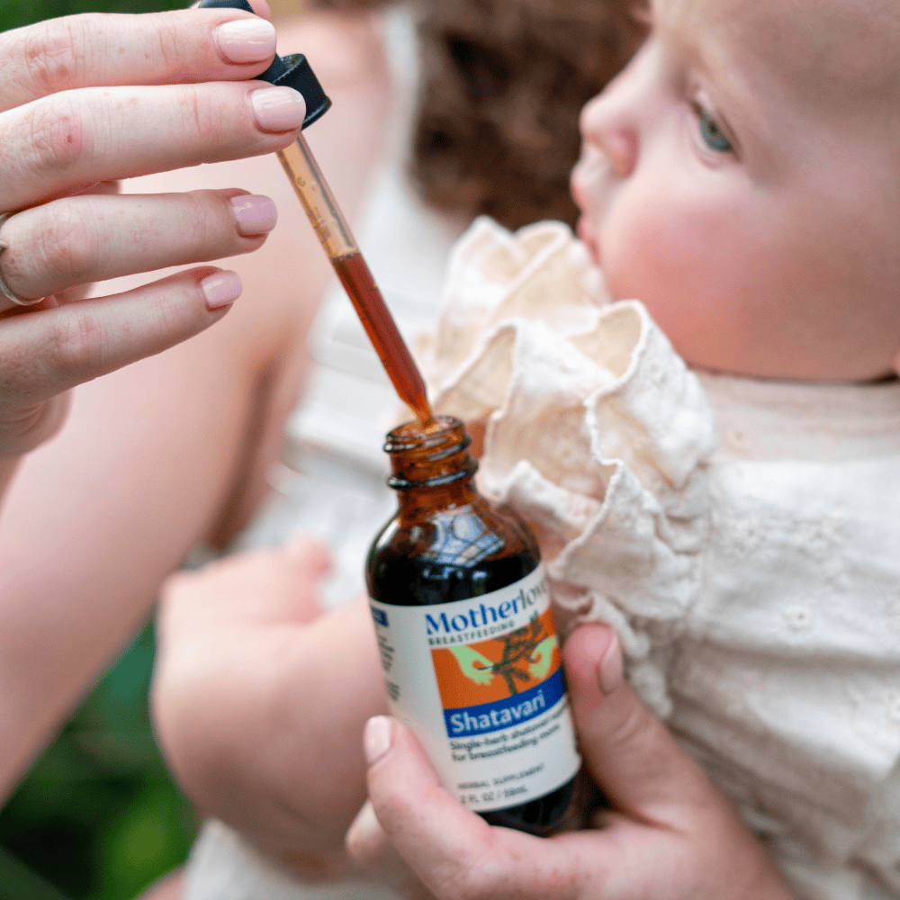 Motherlove Herbal Company Breastfeeding 2 oz Shatavari - Tincture