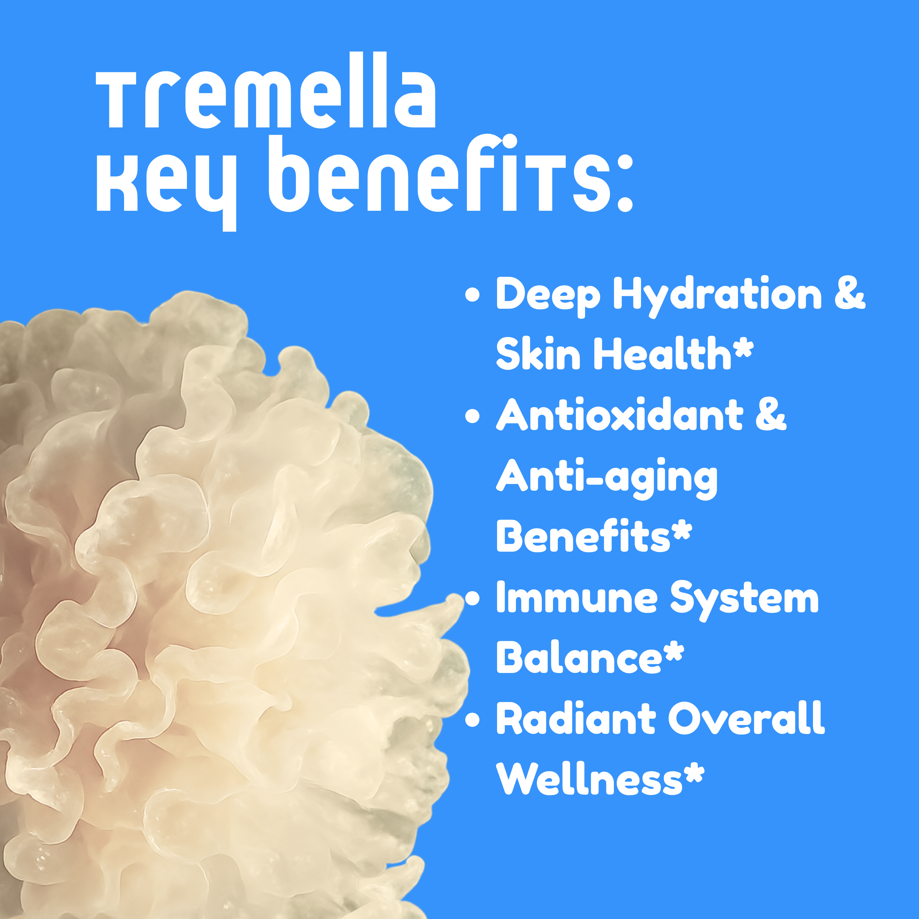 Tremella Mushroom Tincture - My American Goods