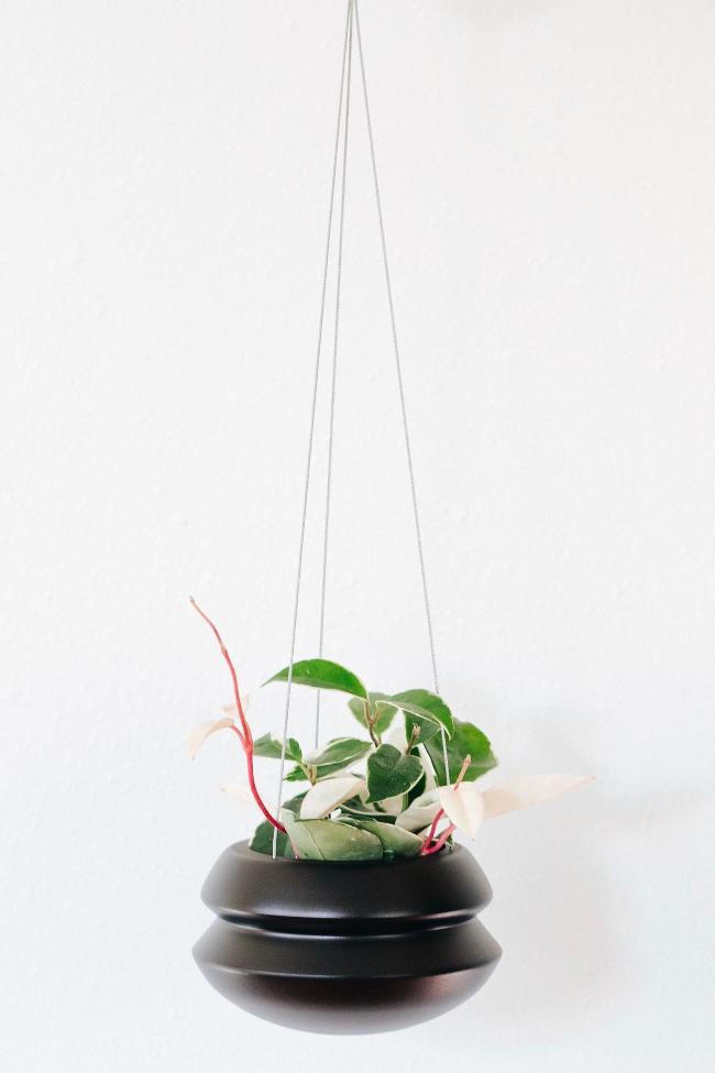 Carter + Rose Matte Black / Medium Hanging Planter