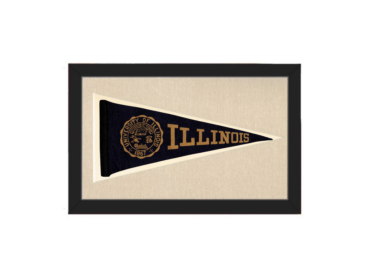 Vintage Illinois Pennant