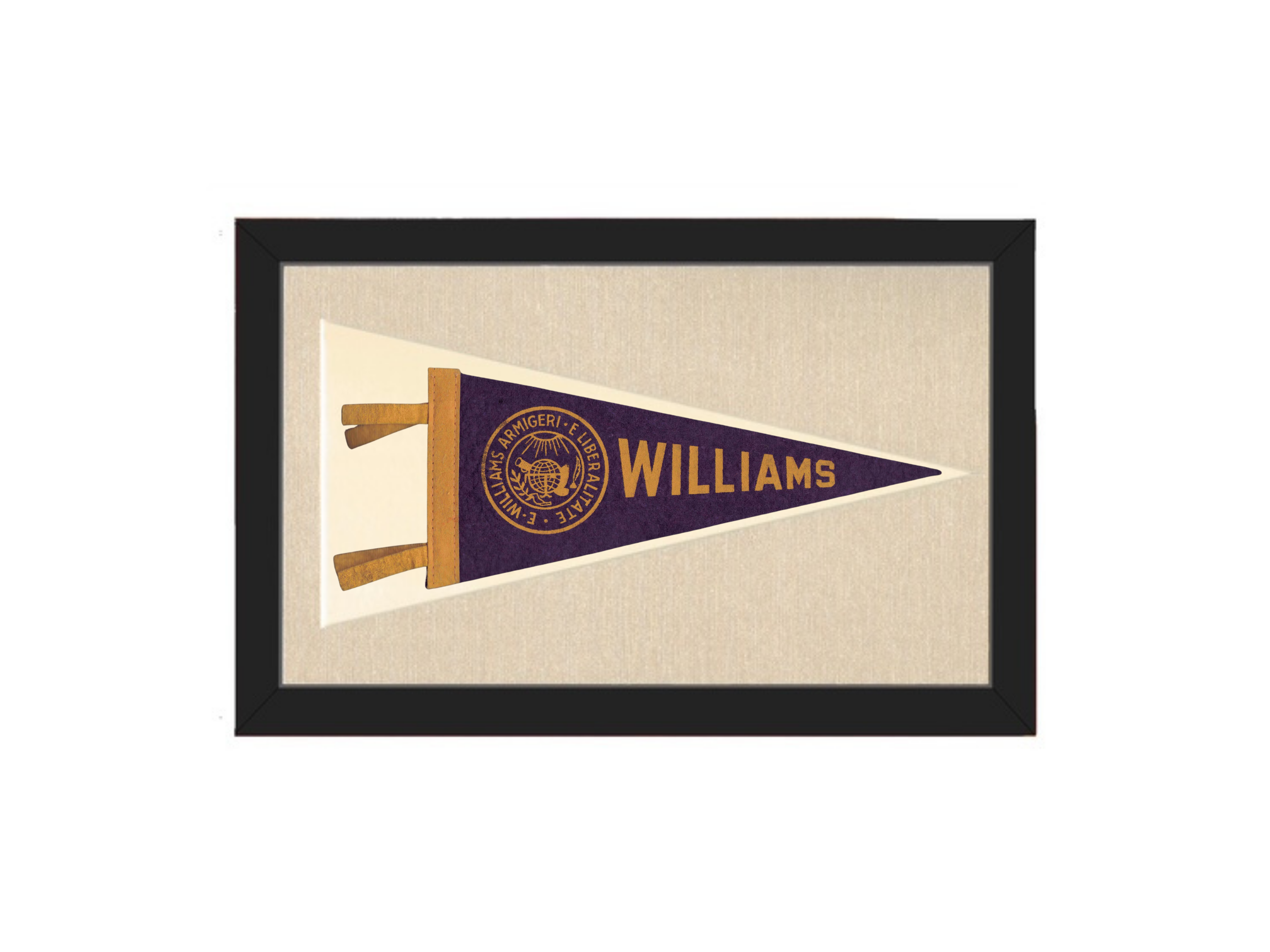 Vintage Williams College Pennant