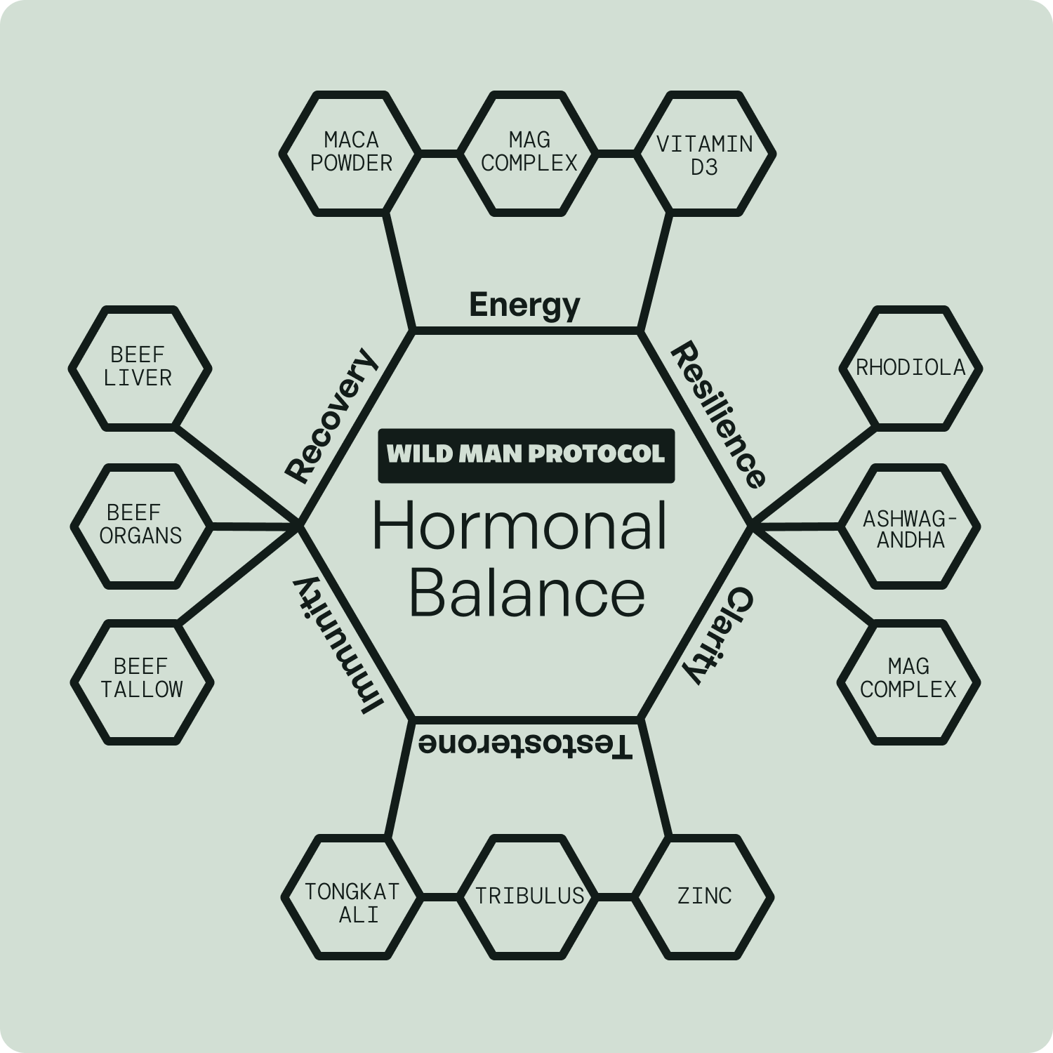 Wild Man Bundles: Natural Anabolic Support