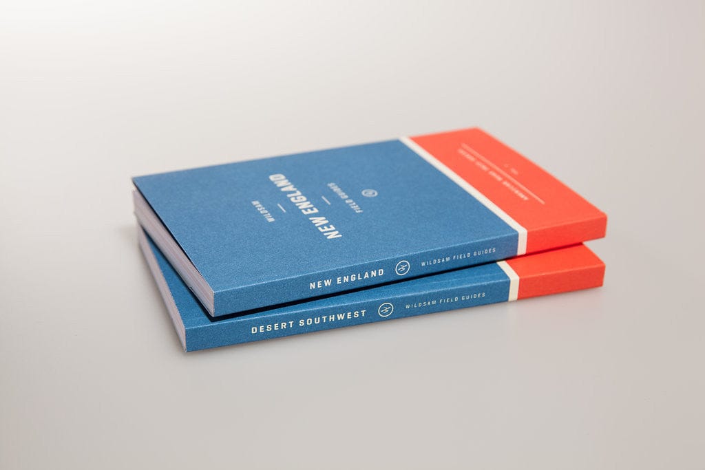 Desert Southwest - My American Goods