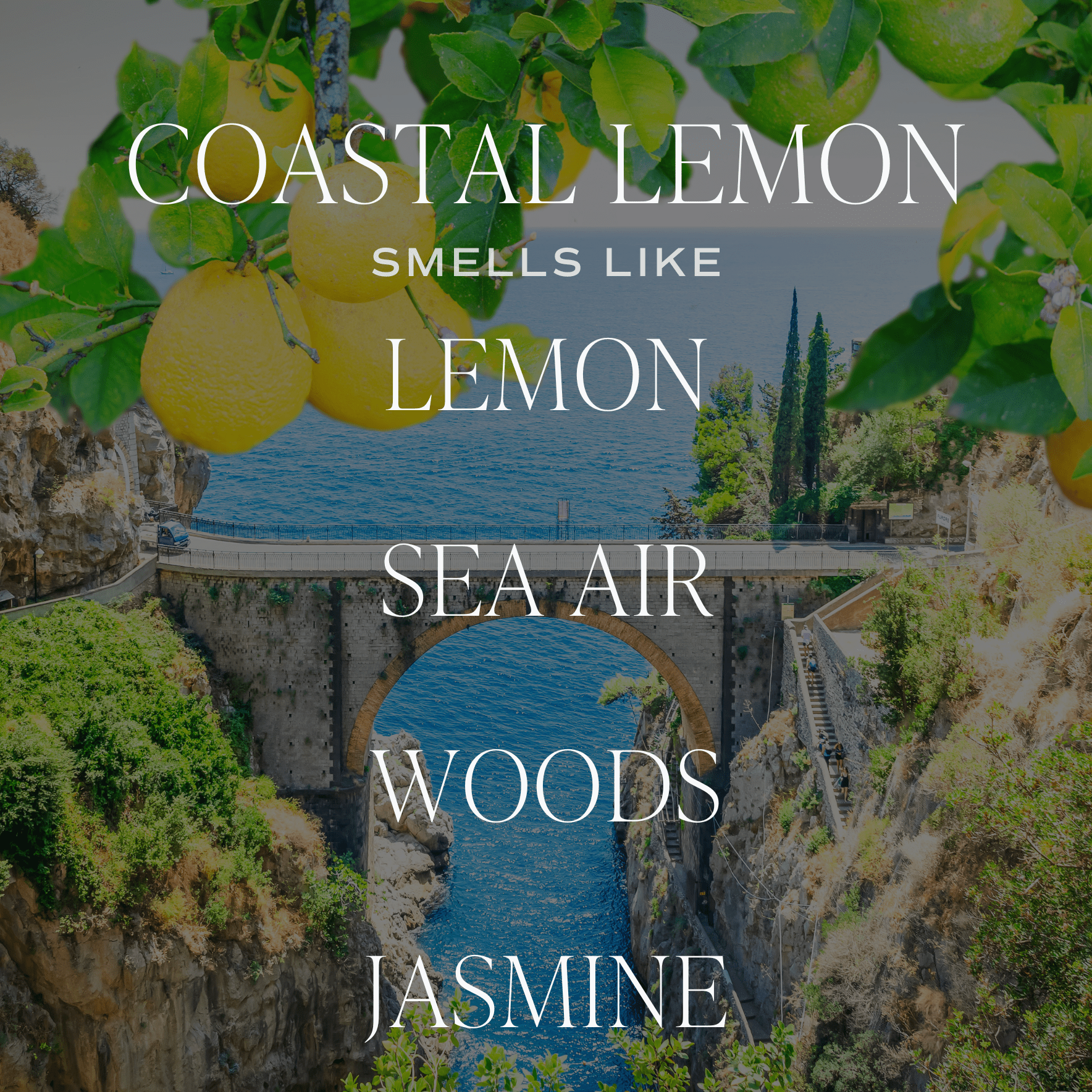 Coastal Lemon Soy Candle - White Jar - 11 oz - My American Goods